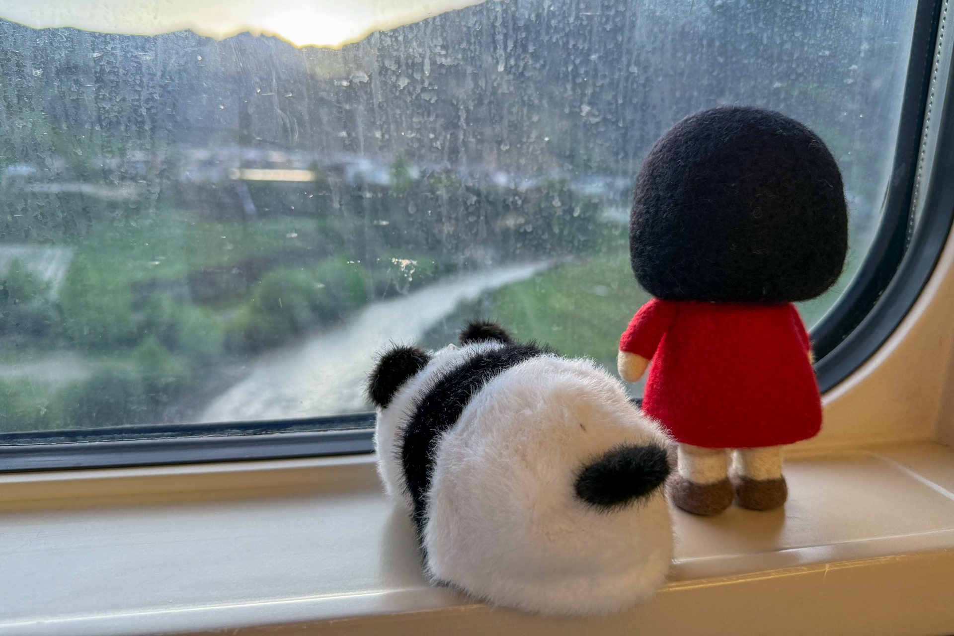 中国の鉄道に乗ったのは今回の旅のハイライトの1つでしたわ～