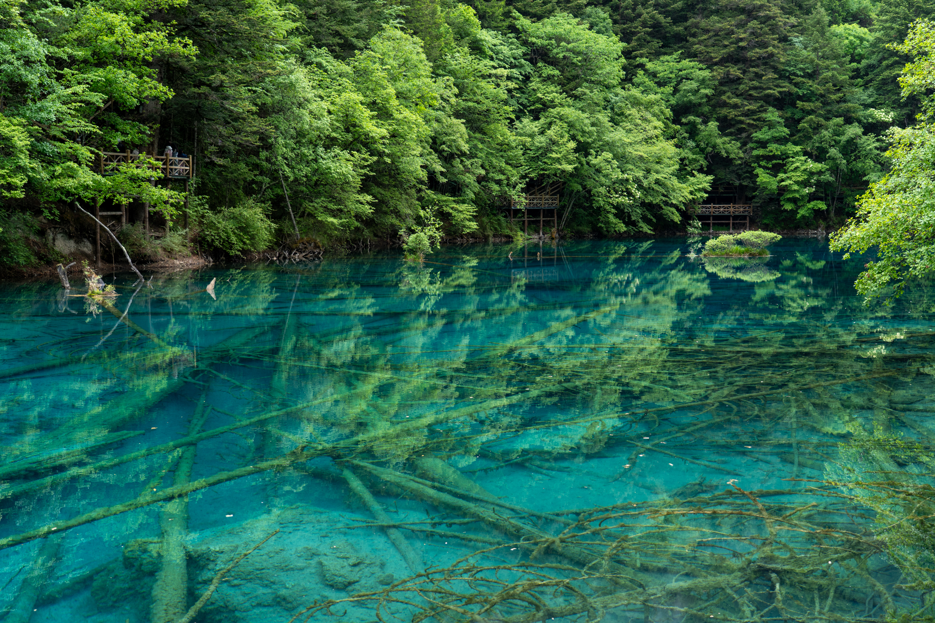 もちろんここも「九寨溝風景名勝区」としてTrip.Bestで九寨溝エリアの観光スポット1位