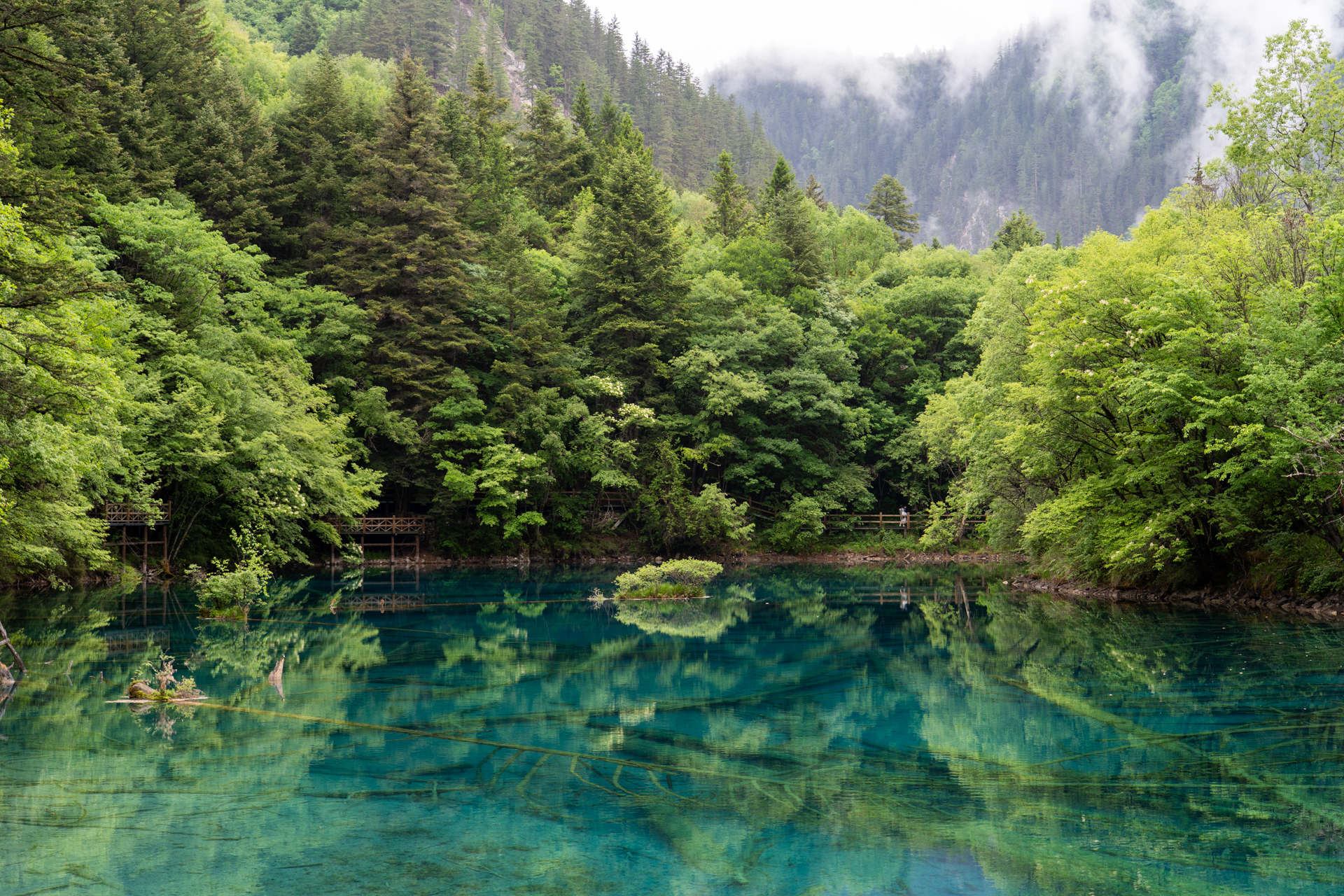 青く透き通った湖の透明度は湖底に沈んだ倒木が見通せるほど