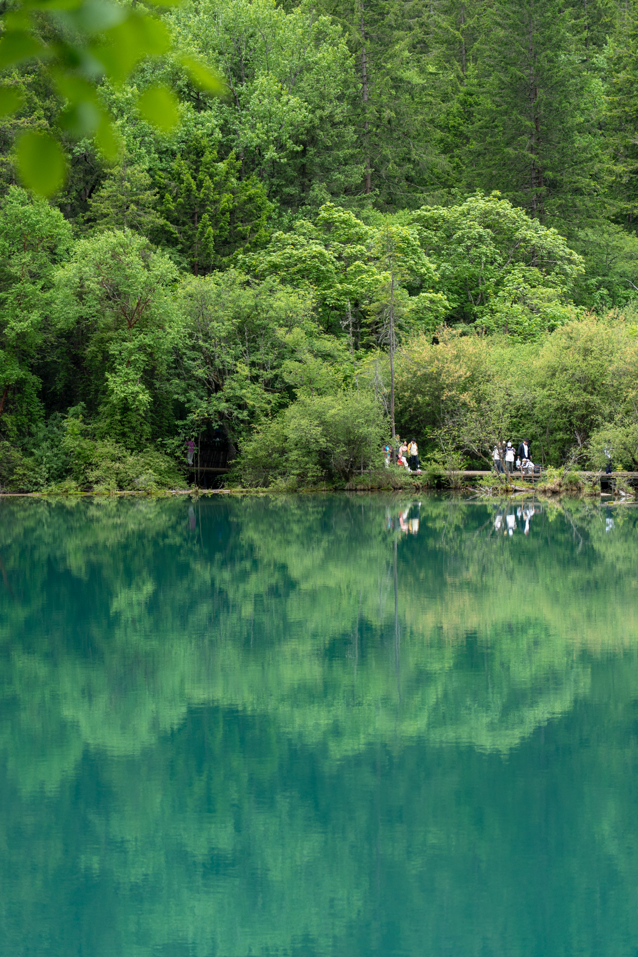 鏡のような湖面