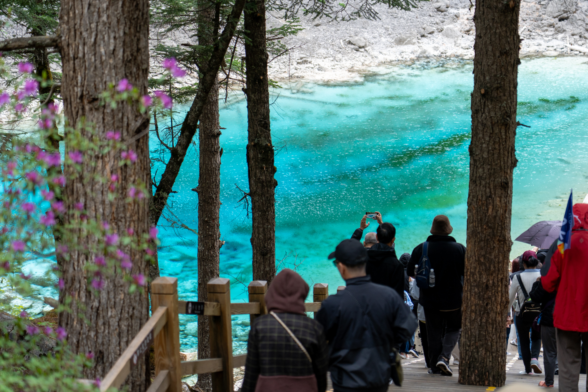 水と光の相互作用で生み出されるエメラルドブルーは宝石のよう