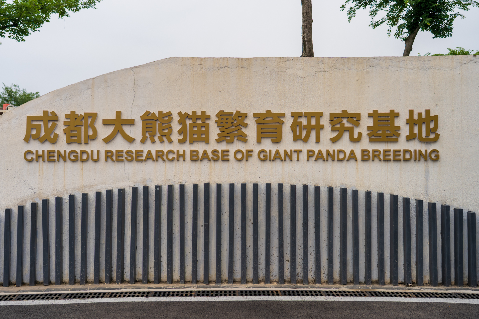 今回は団体客が利用する北東のゲートを利用しましたが、通常は南ゲートか西ゲートから入場となります