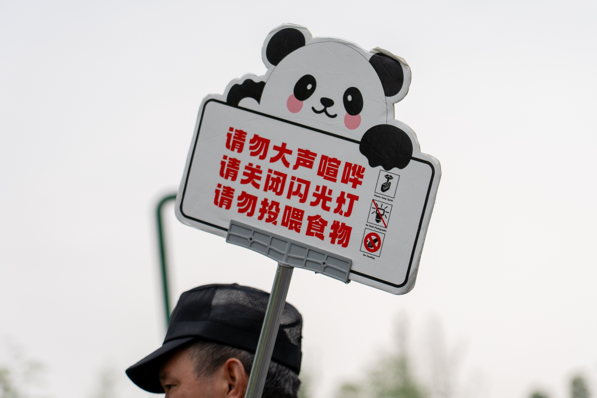 大声を出さない、フラッシュ禁止、餌を与えないを守りましょう