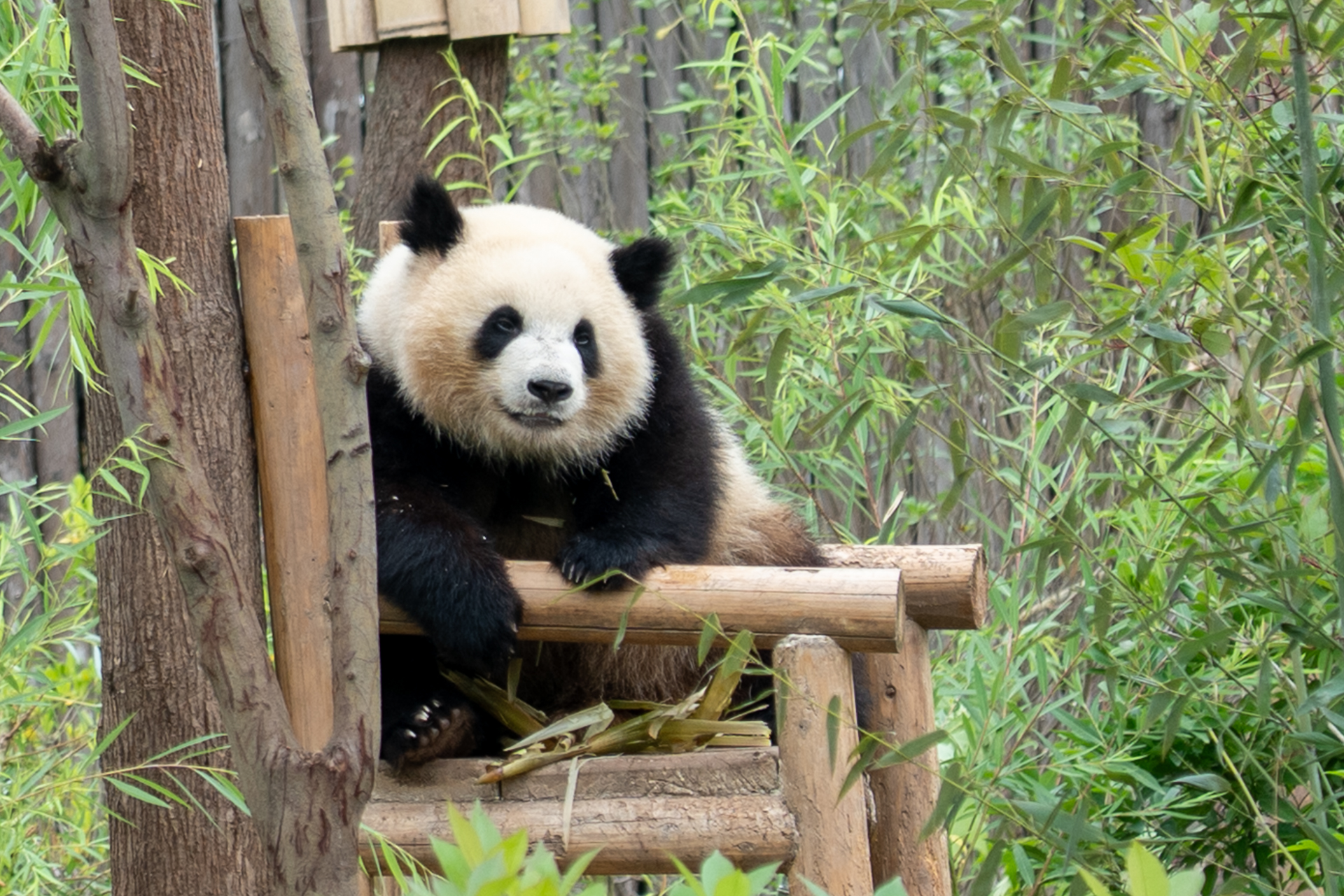 わぁ～かわいい！