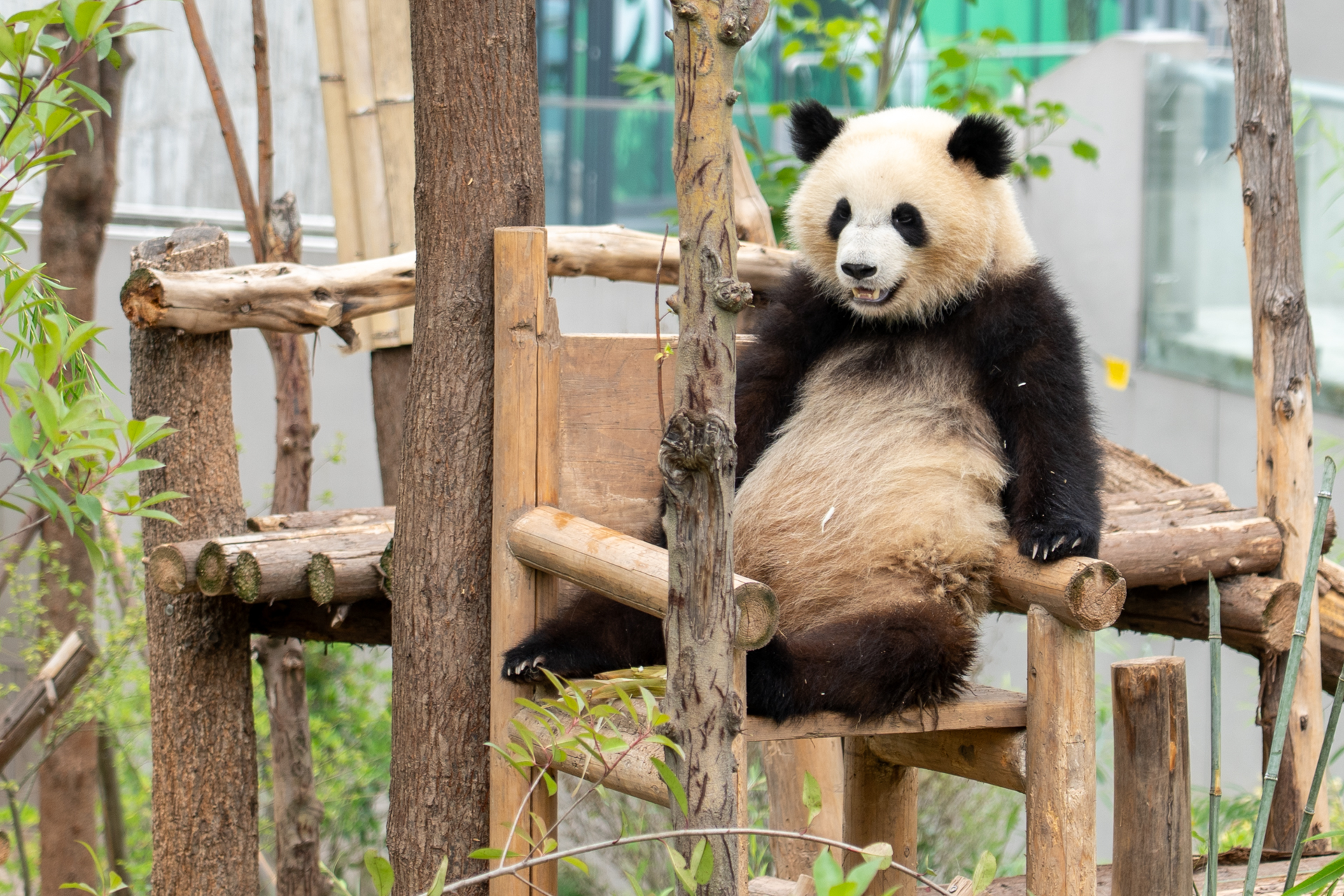 食事のあとのまったり時間という感じ？