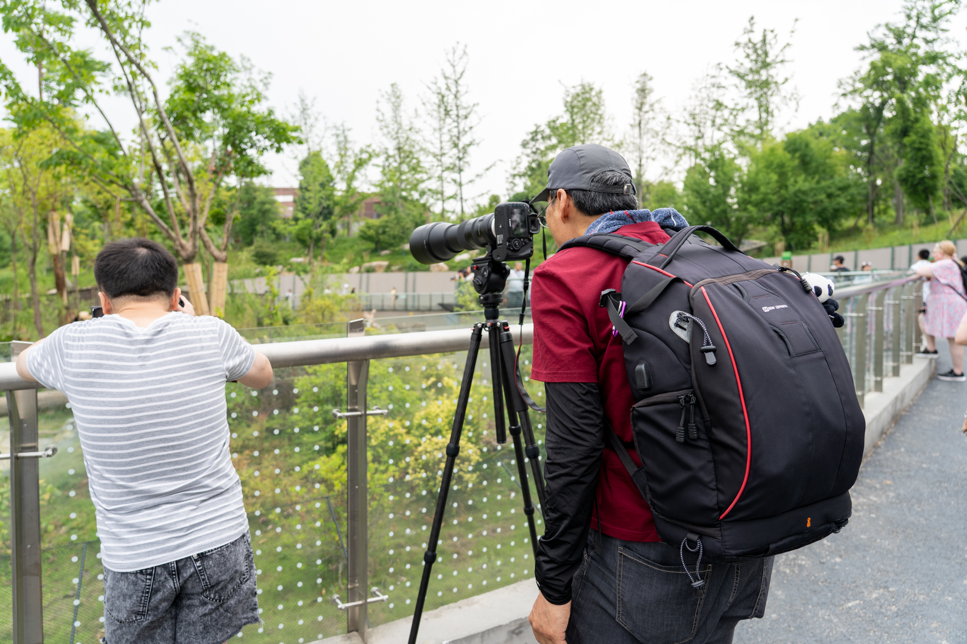 ガチ機材で撮影していたのは近くにお住まいで毎日通っているという男性。日本語が話せたので少しお話しました