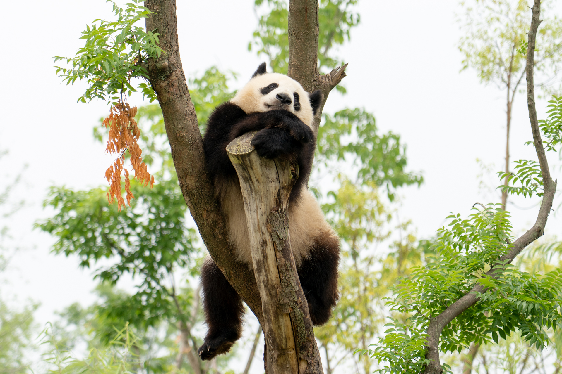 ここが定位置なのかな？