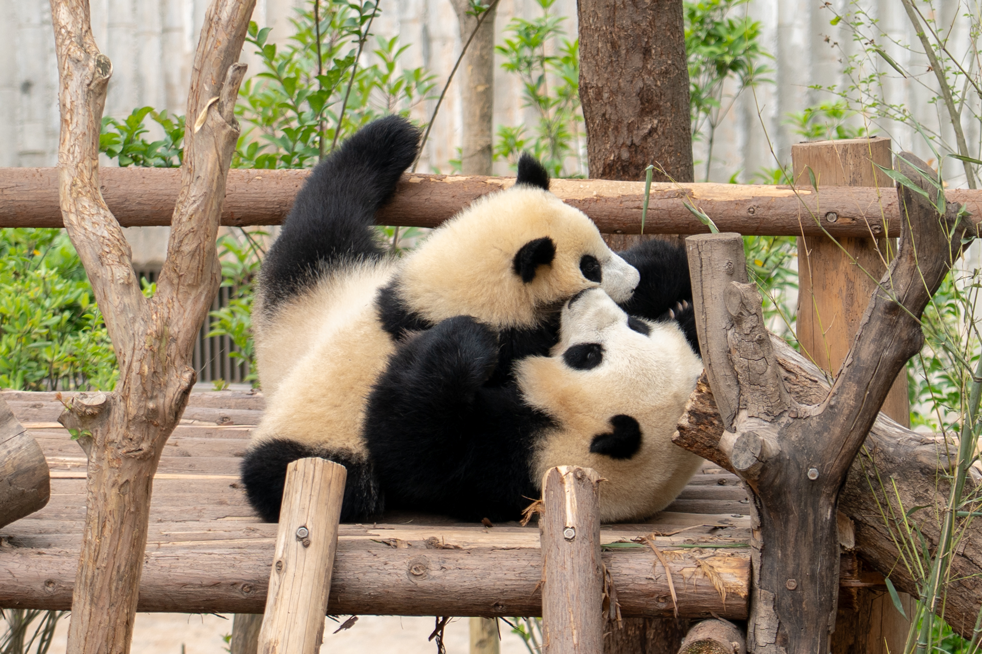 尊いのひと言！