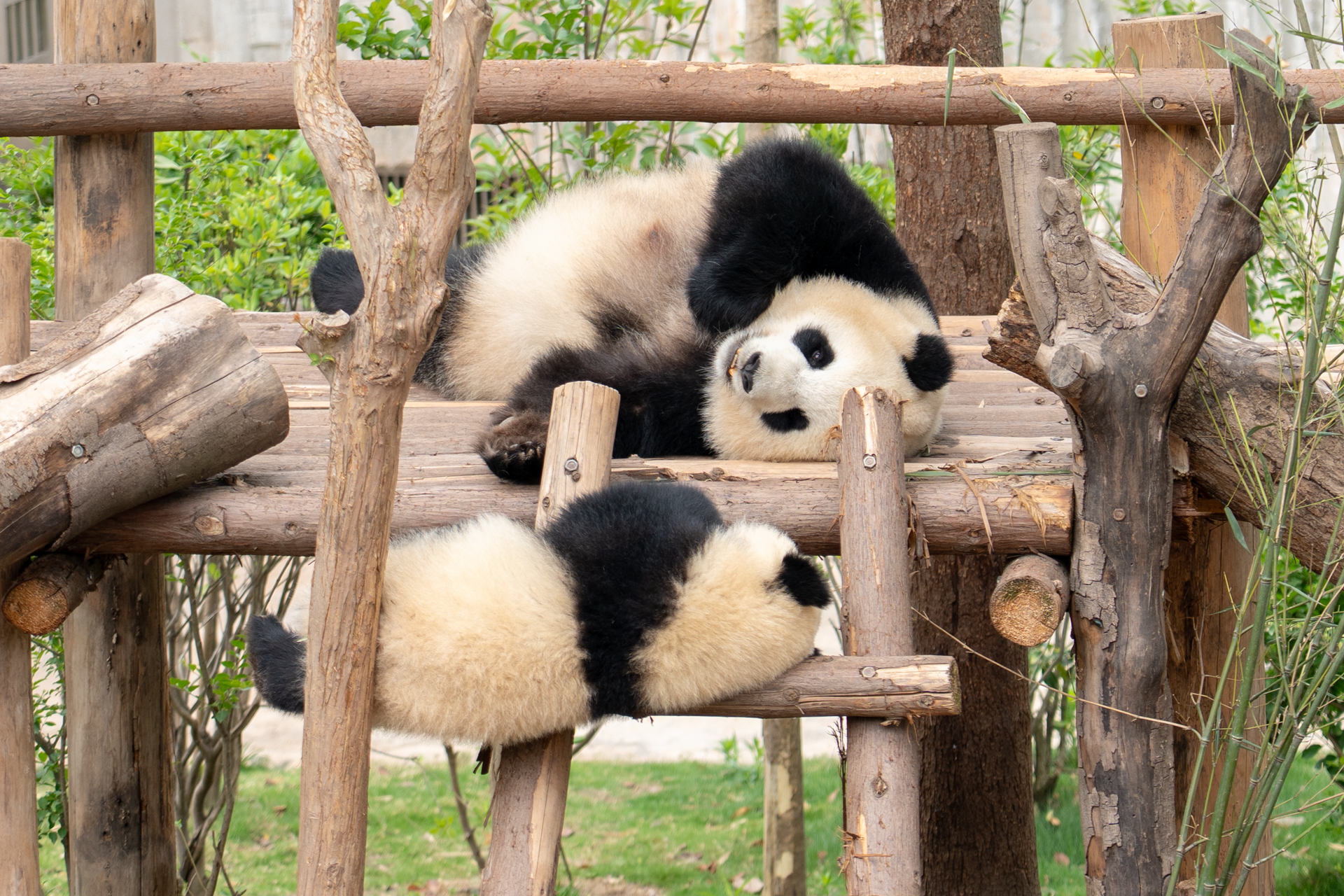 ずっと見ていられる