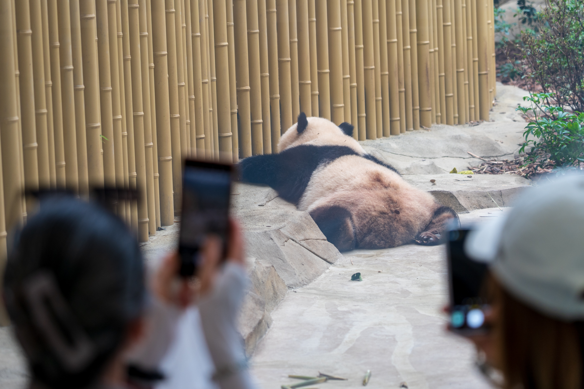 ガラス越しでの撮影エリア