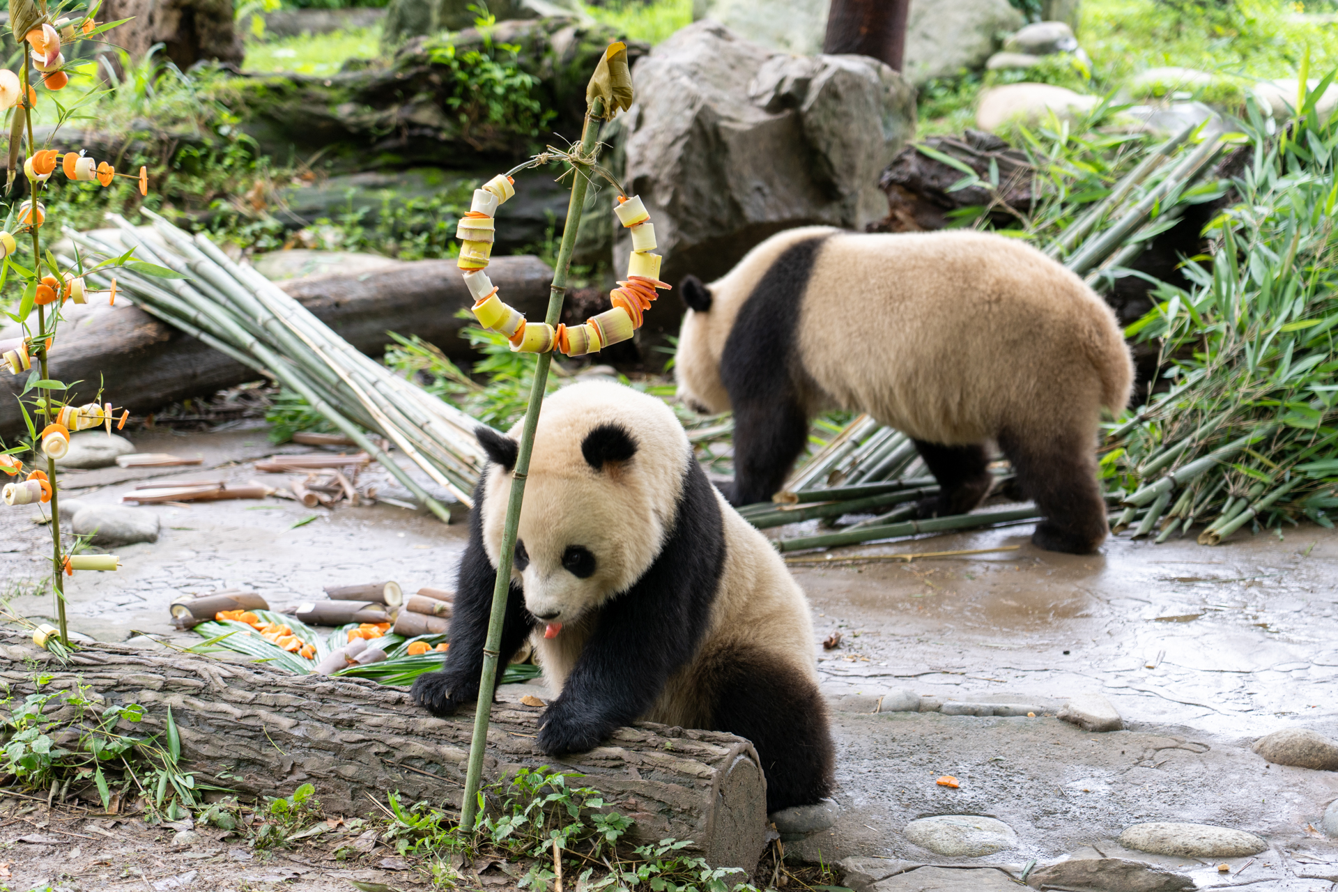 何かのお祝いでしょうか？　ここには大勢の人が集まってカメラを構えていました