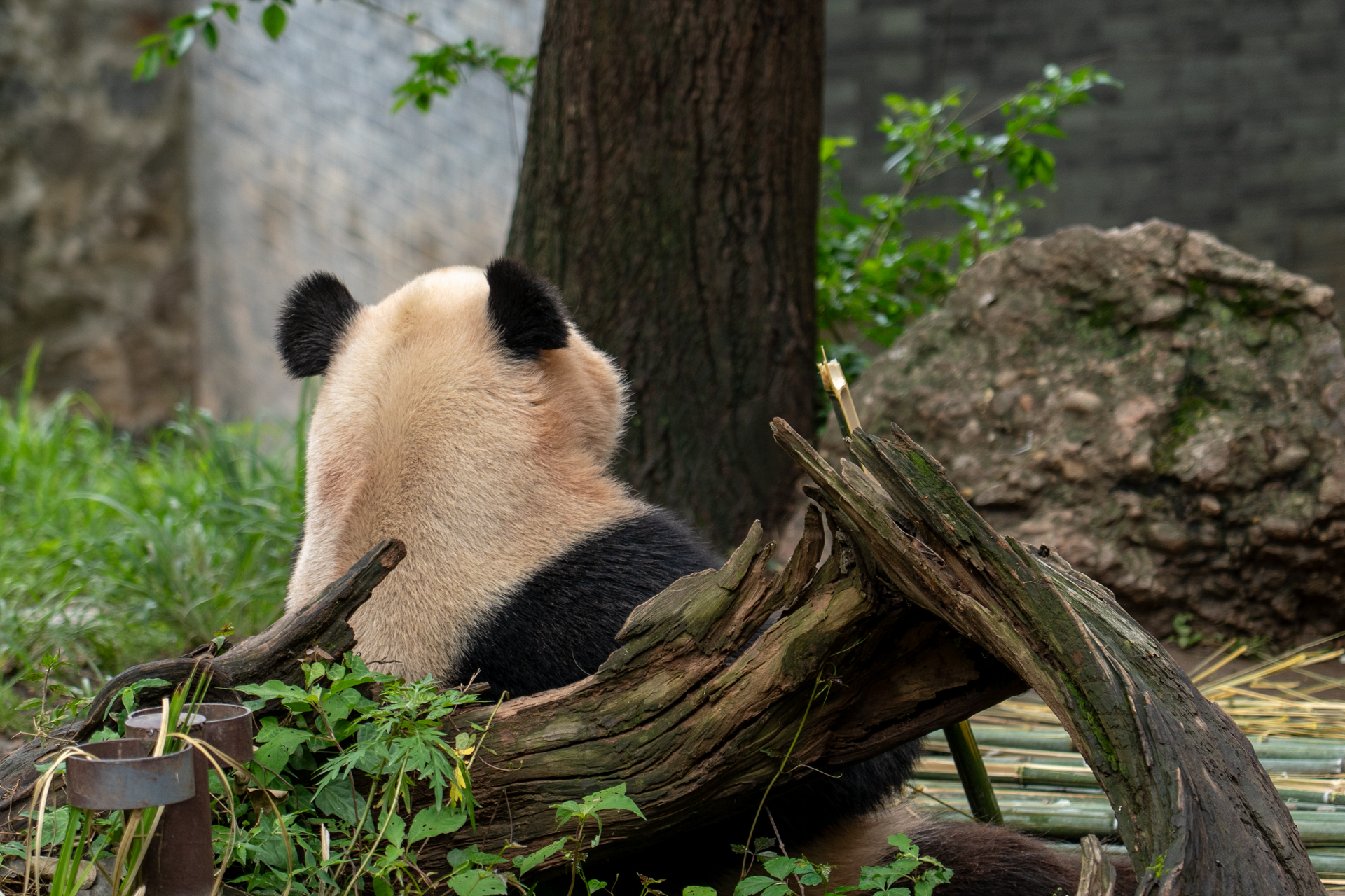 哀愁漂う後ろ姿