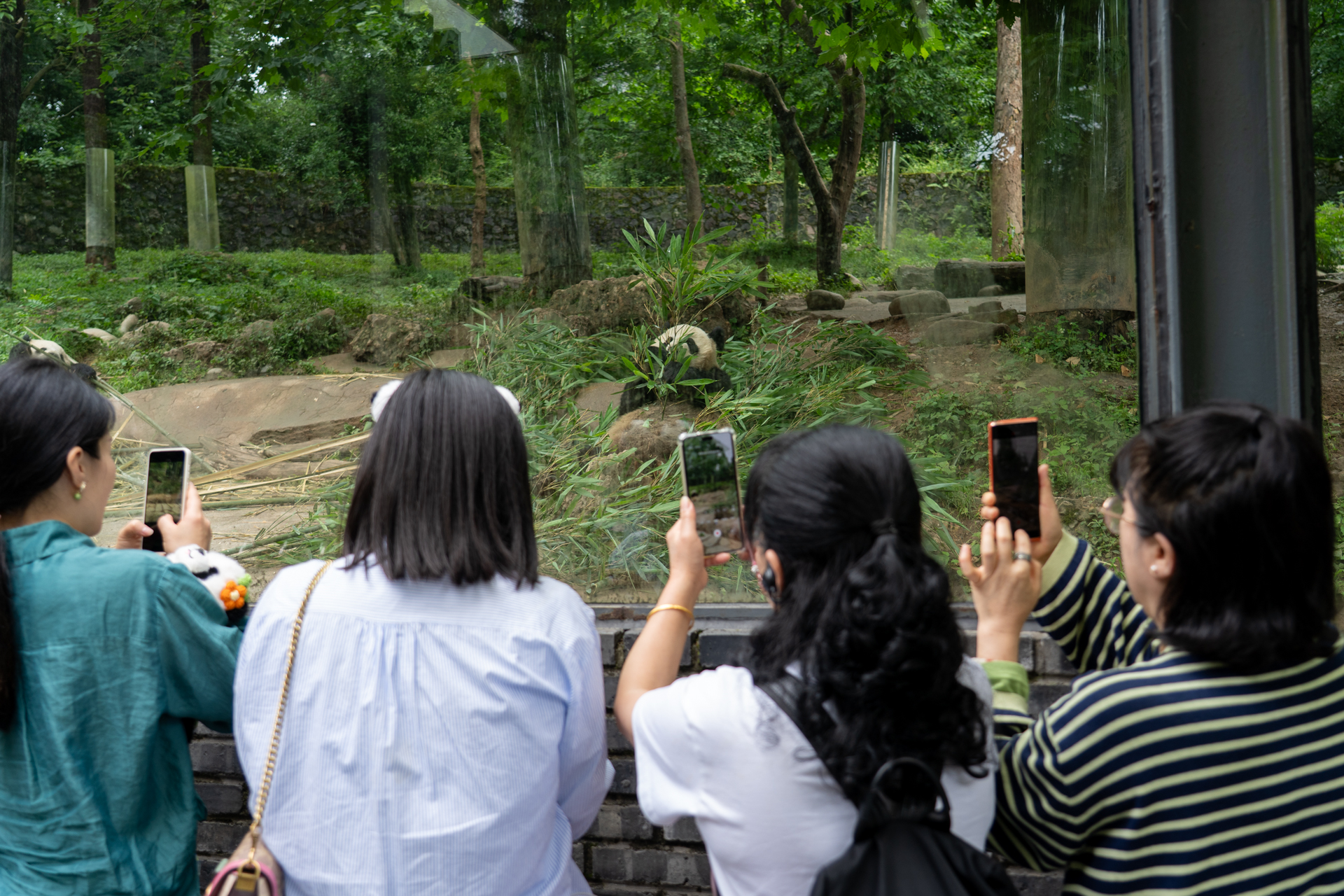 ガラス越しエリアも