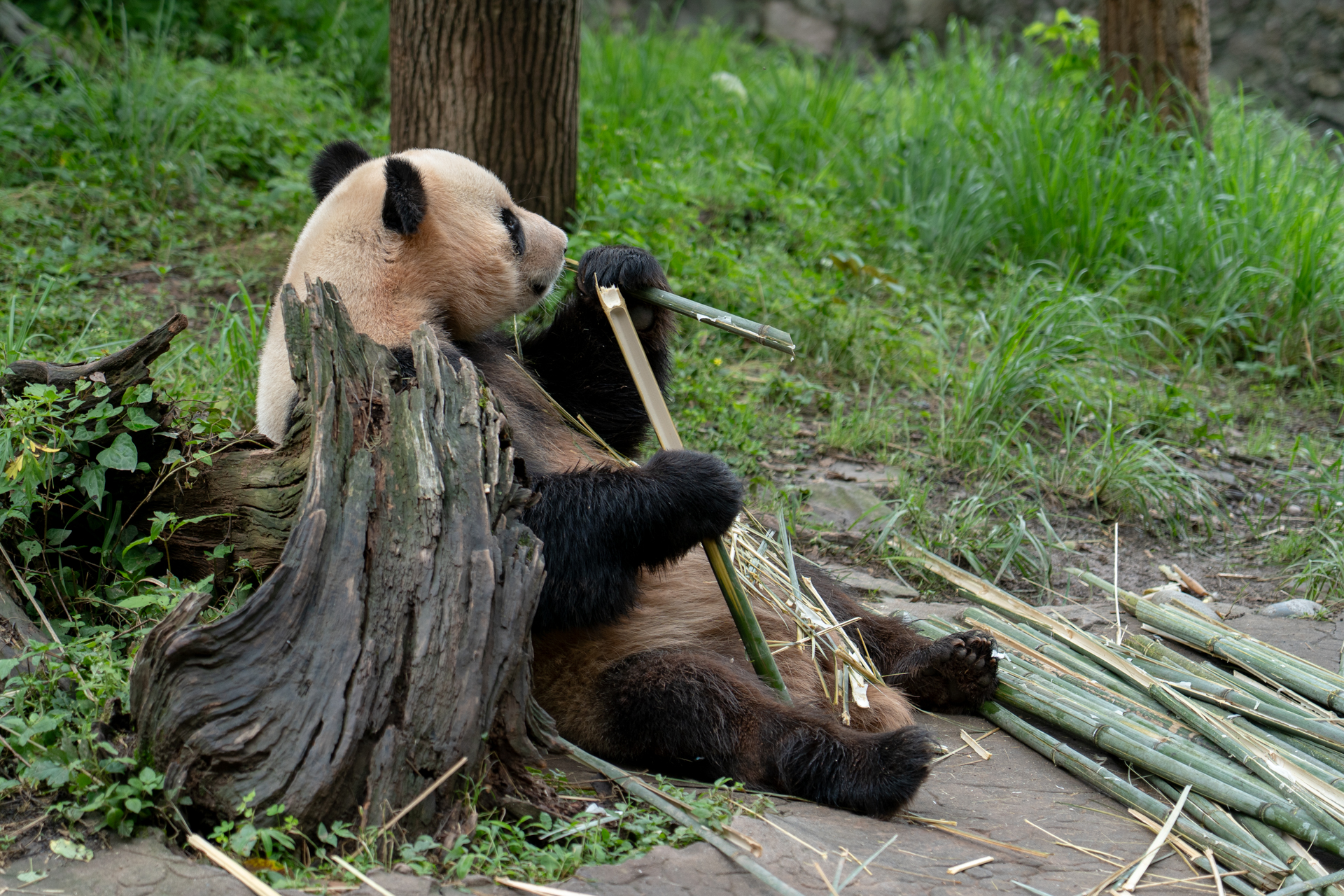 のばした足がかわいい