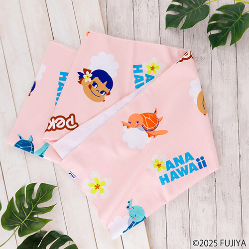 ビーチタオル（2860円）