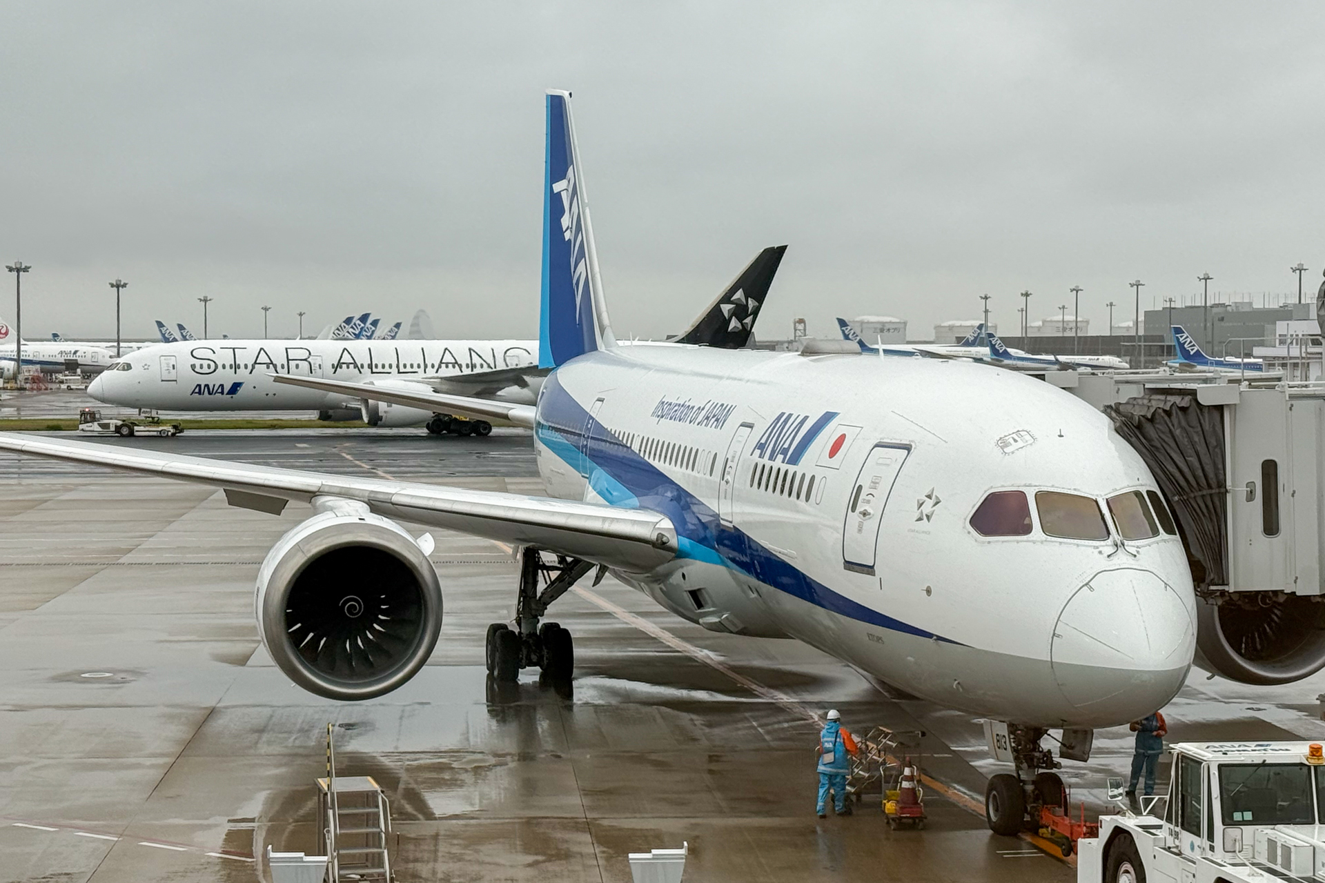 機材は184席のボーイング 787-8型機