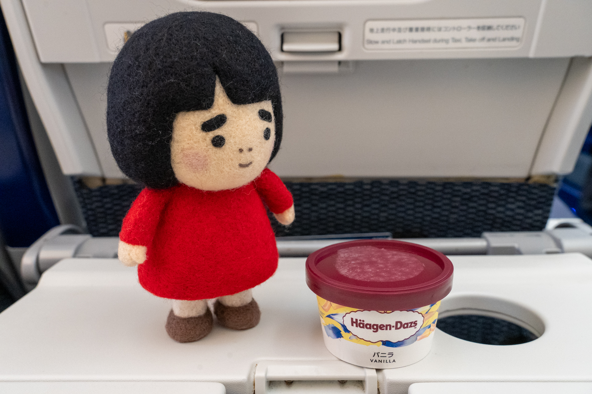 デザートにはハーゲンダッツ アイスクリーム