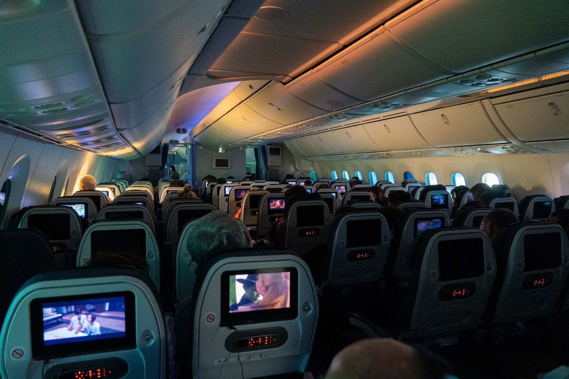 食事と食事の間は消灯します