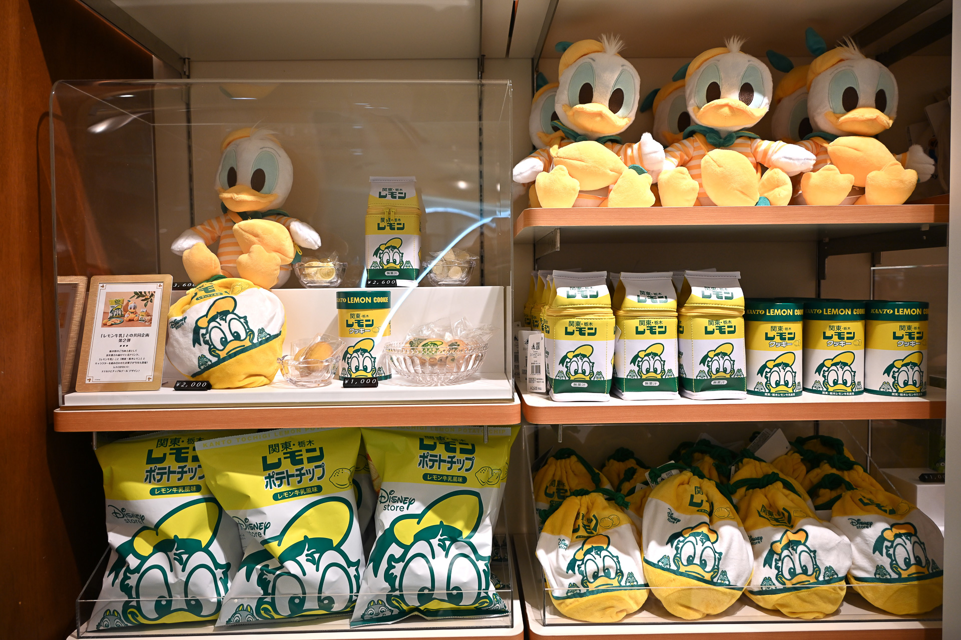 ヤングオイスターの新作から、定番の「うるぽちゃちゃん」まで勢揃い