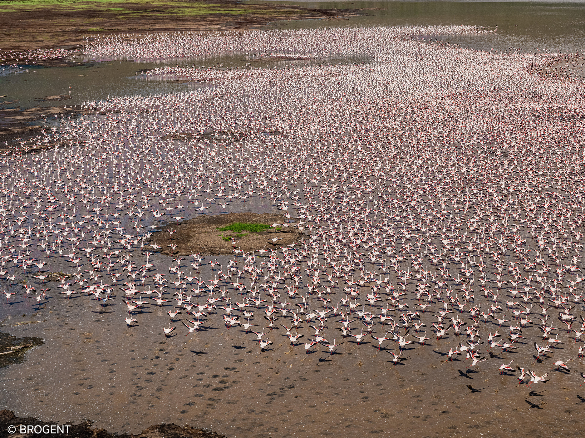 巨大なドーム型の8K LEDスクリーンが視界全体に広がり、青い海、神秘的な熱帯雨林、広大な草原や砂漠など地球上の絶景を飛びまわるようなリアリティを味わえる