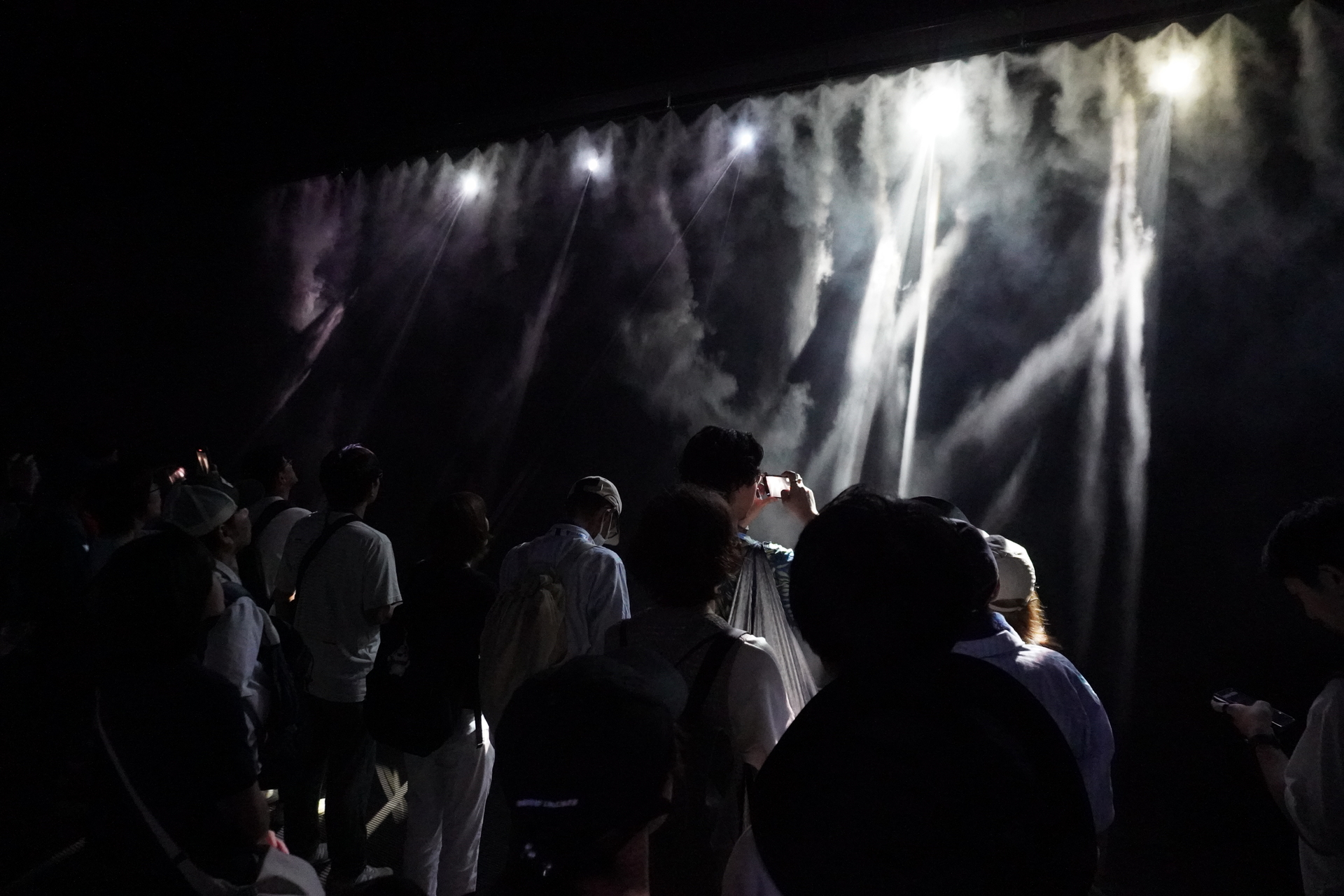 みんなの蝶が集まってきた！