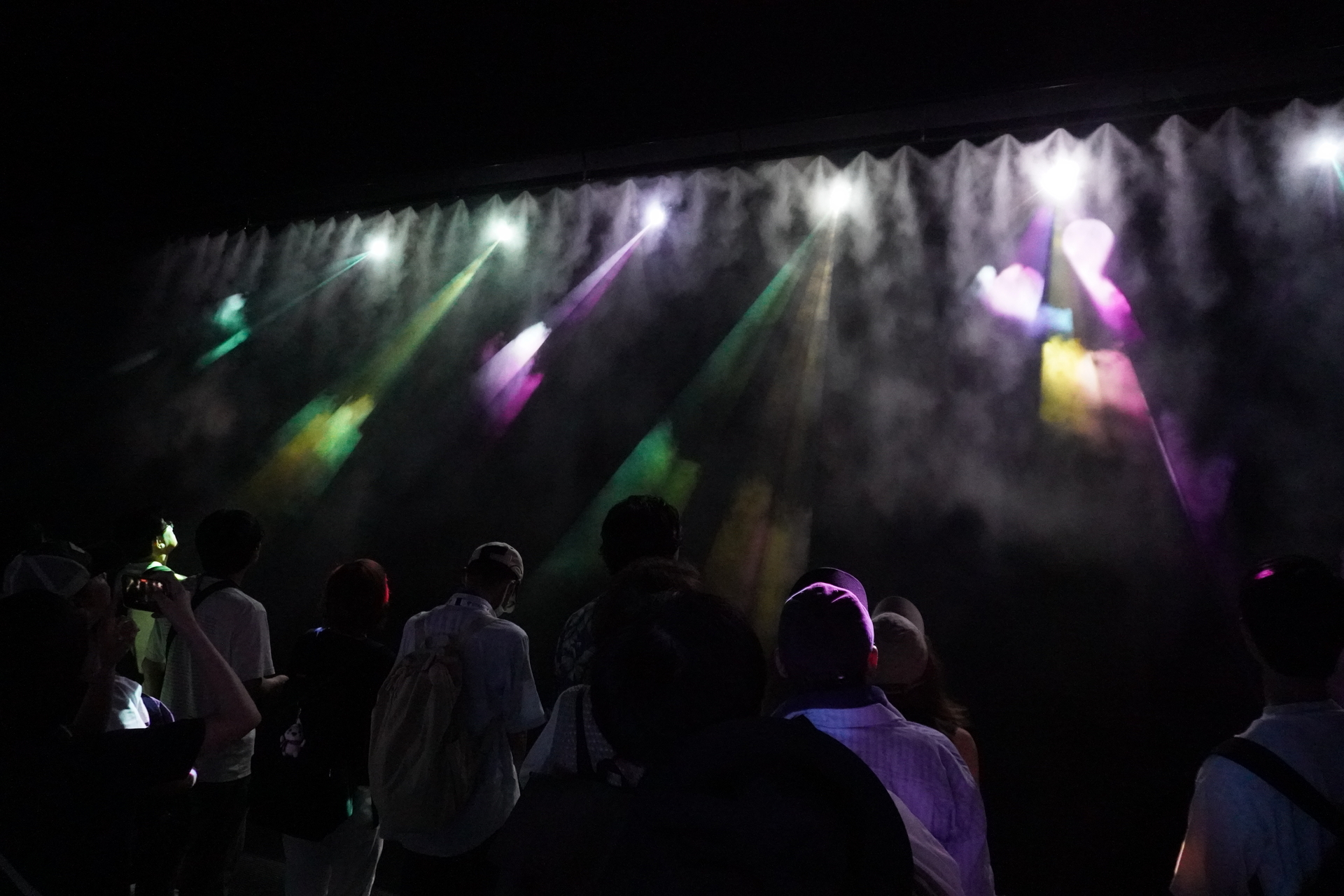 みんなの蝶が集まってきた！