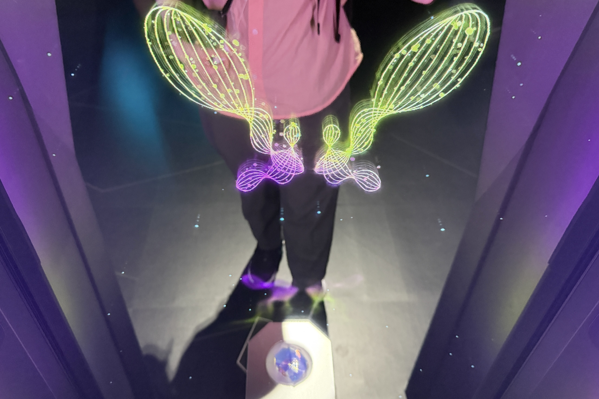 蝶の色や形は160パターンあり、体験中の表情・行動データによって変化する