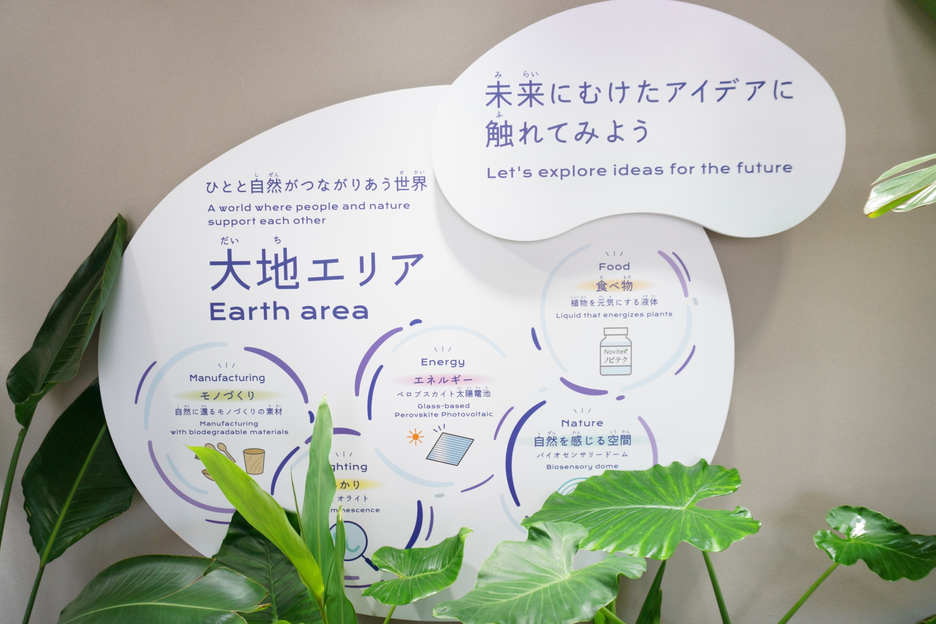 展示エリアは自由観覧