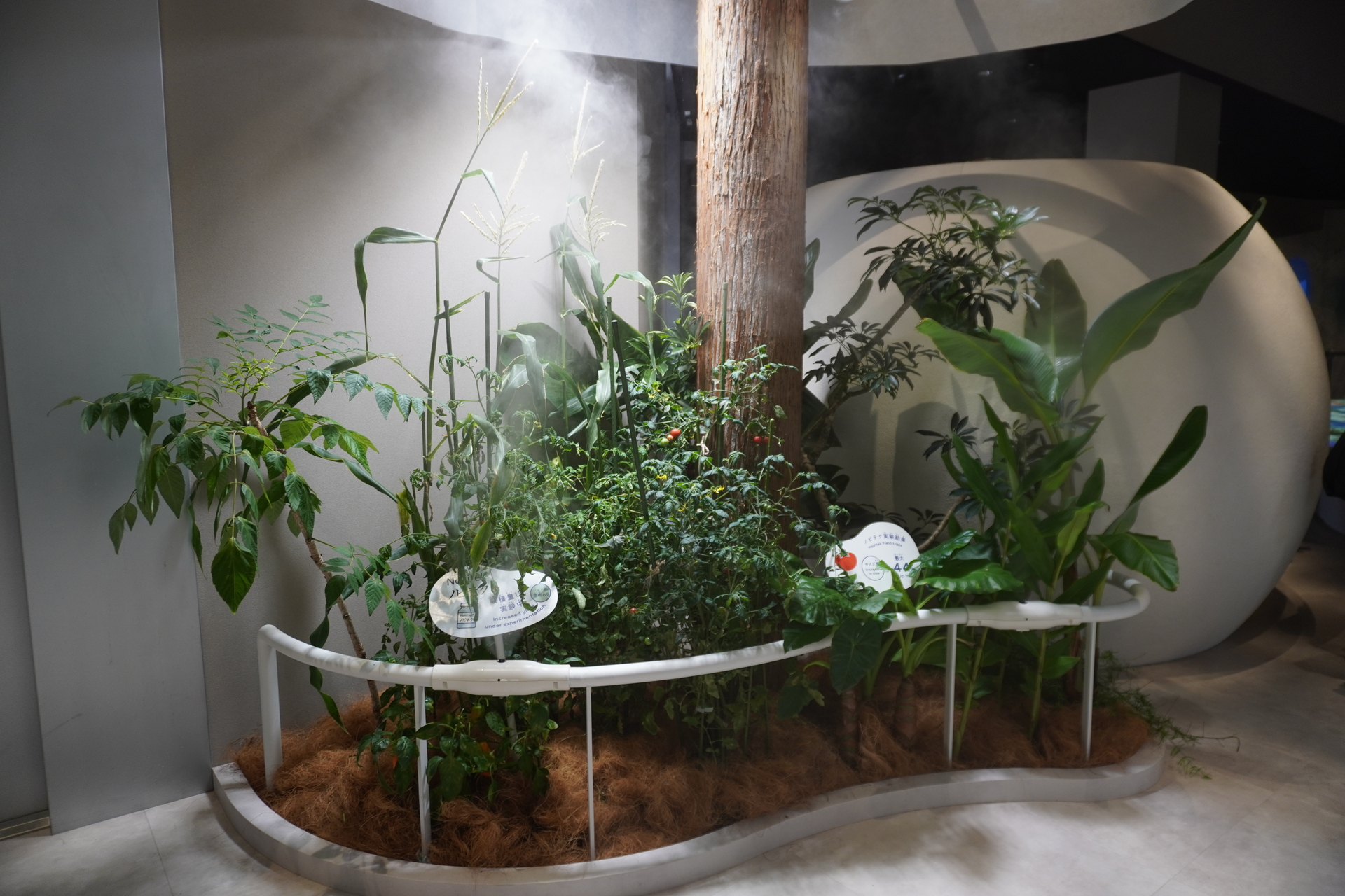 異世界の雰囲気をつくっていたミストは、野菜の成長を促す道具に