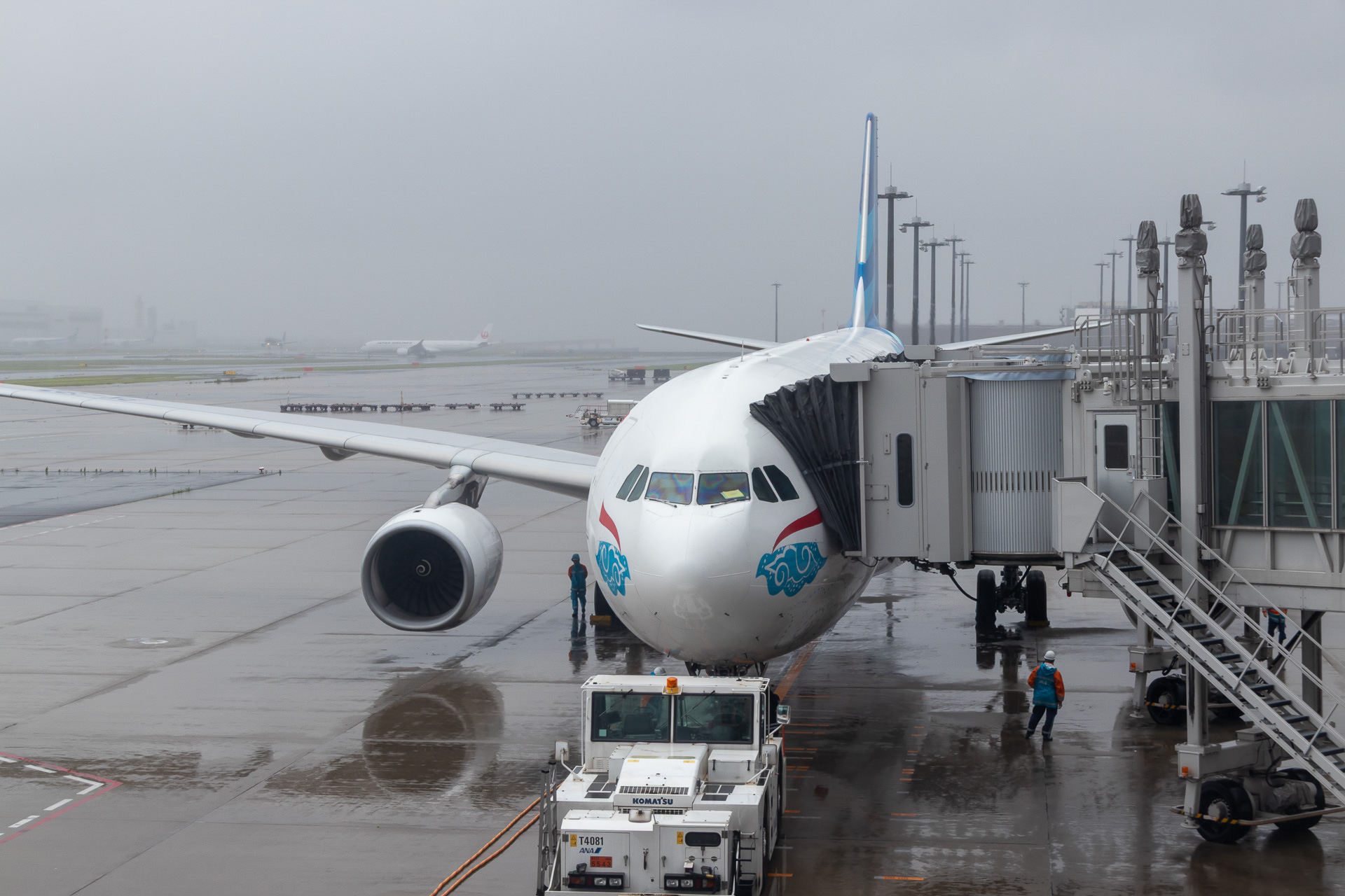 晴れていればもっと映える写真になっていたかと思うと少し残念