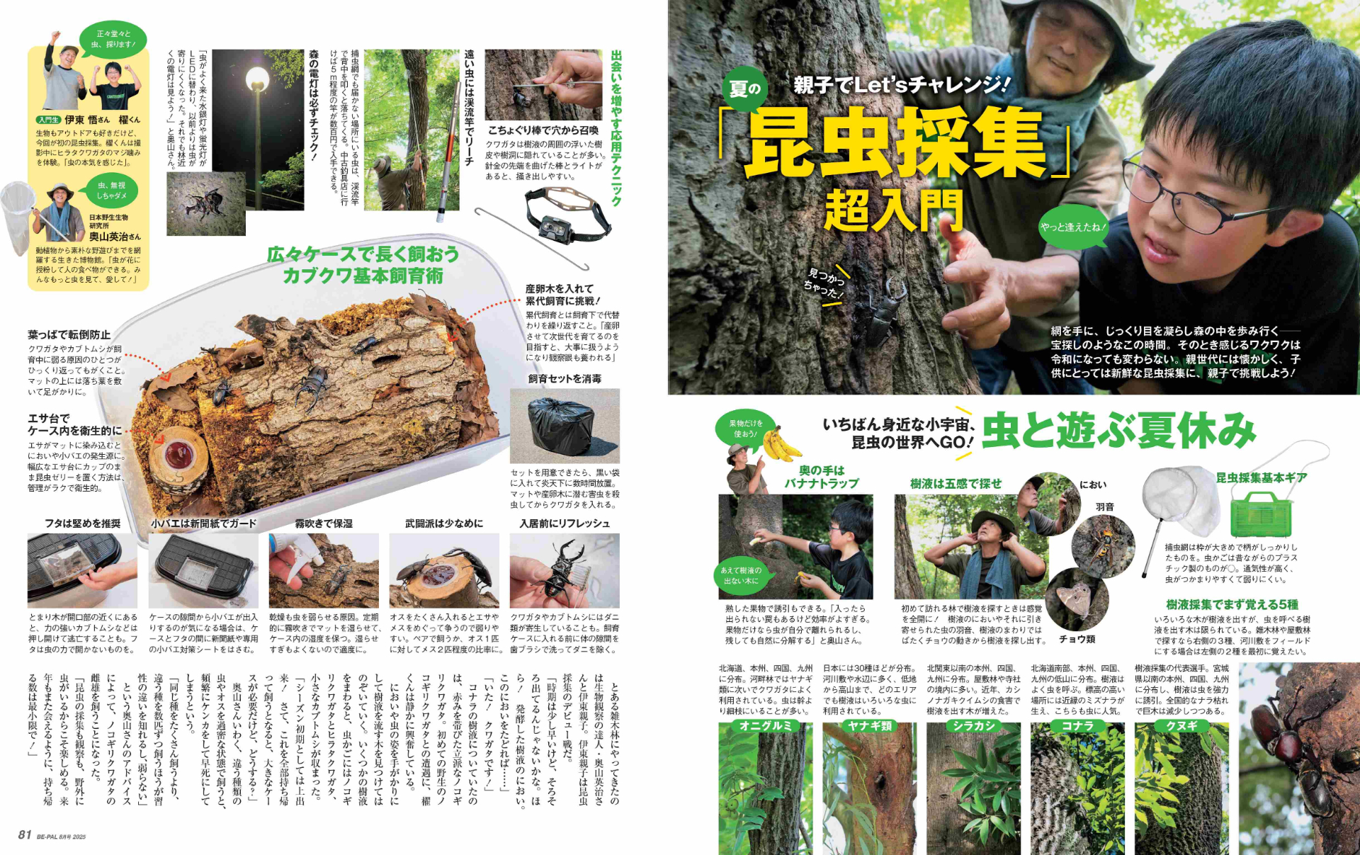 小特集は、親子でチャレンジしたい夏の「昆虫採集」超入門