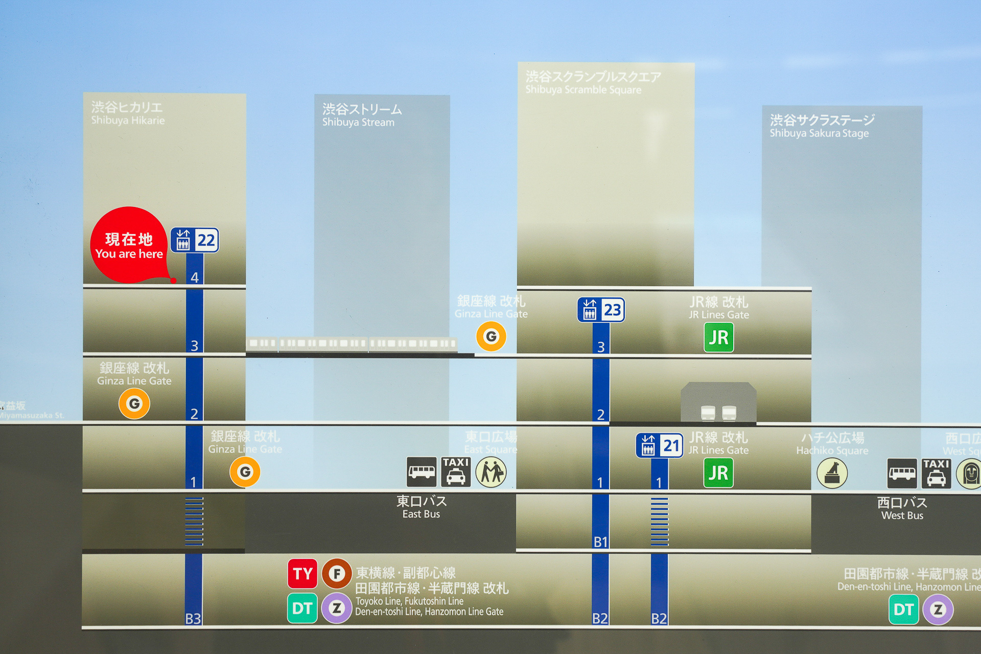 「東口4階スカイウェイ」が完成すると、「現在地」から4階で渋谷ヒカリエと渋谷スクランブルスクエアがつながる