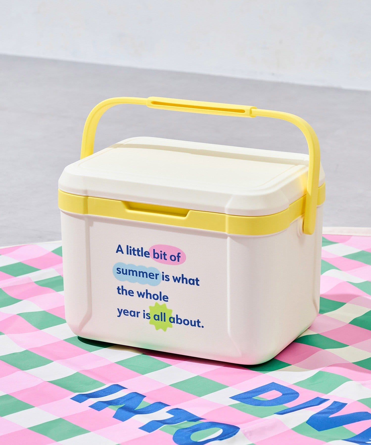 クーラーボックス（2420円）