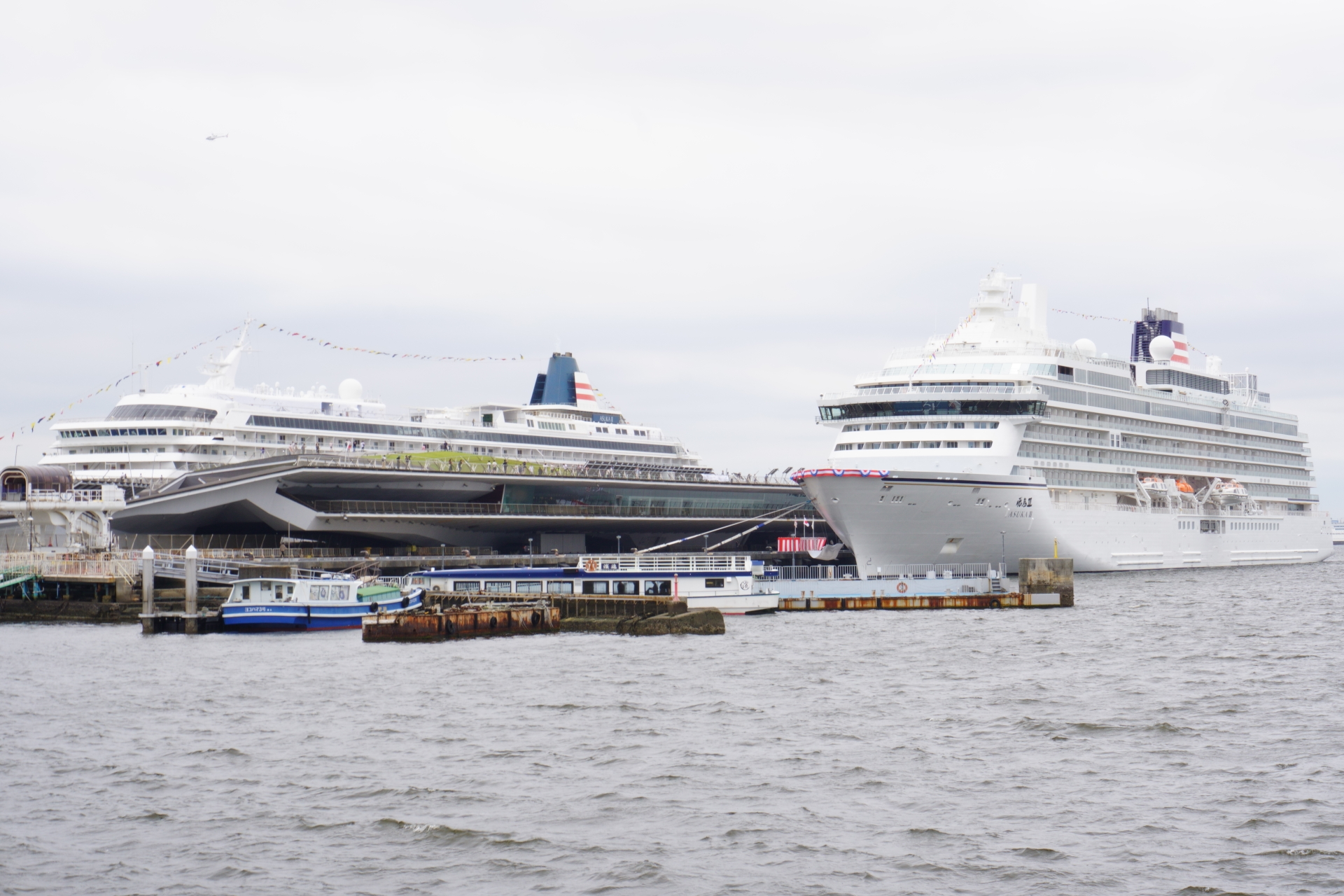 最後の世界一周クルーズを終えたばかりの飛鳥II（左）。姉妹2隻が並ぶのは初めて