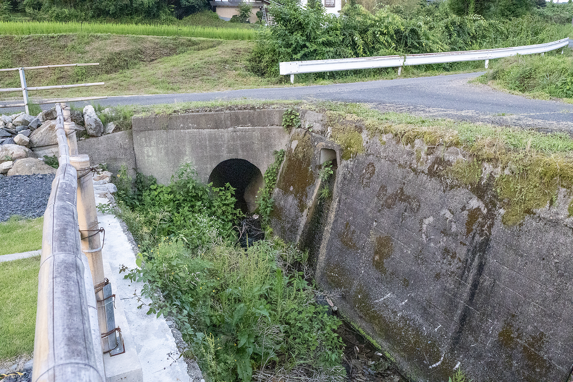芝生サイトのすぐの後ろには、山からの水が流れる水路がある。水量が多いときは水の音が聞こえて涼しい雰囲気になるという