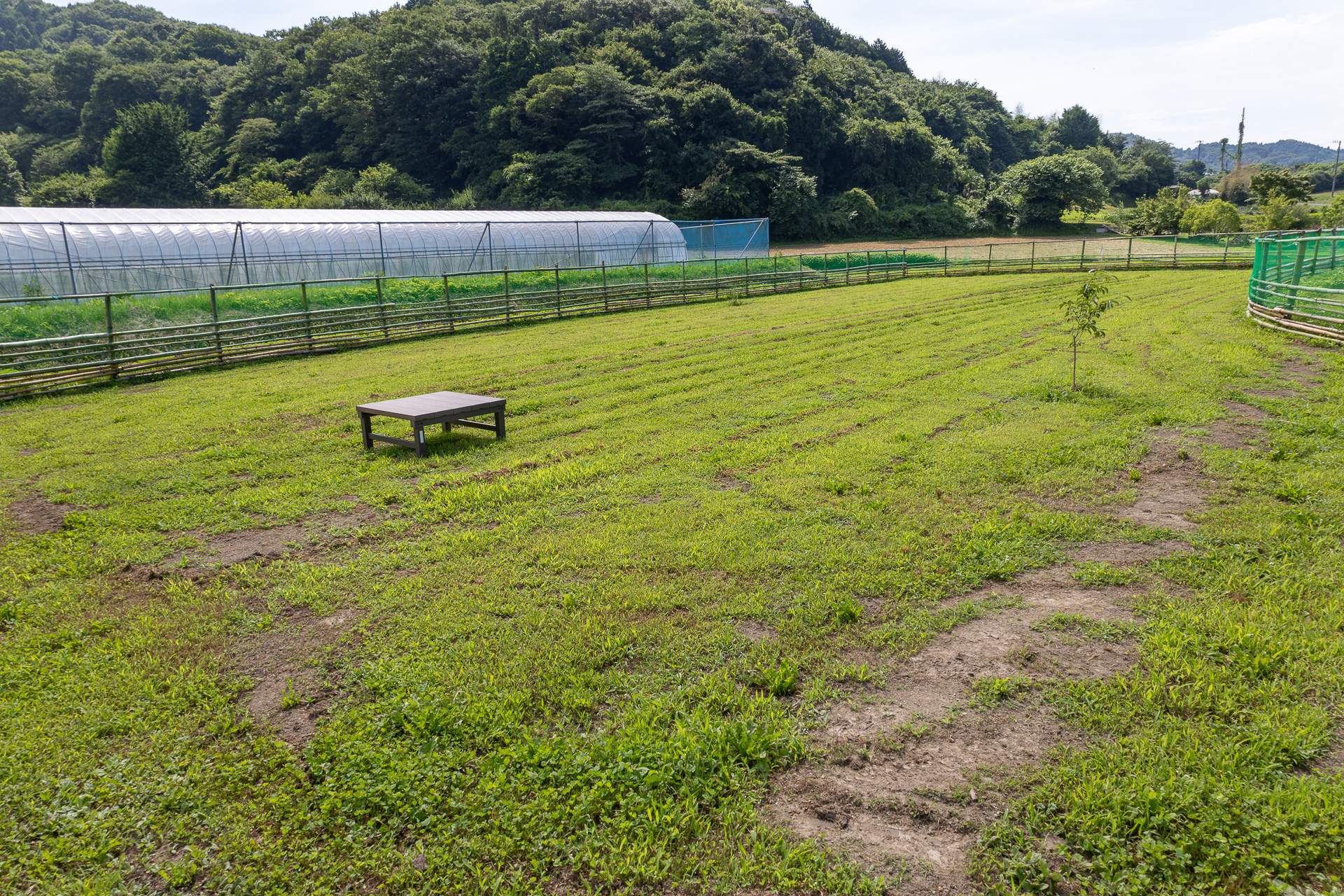 敷地は広いので運動量の多い犬種でもたっぷりと遊ばせることができそうだ。地面もフラットでケガもしにくいだろう