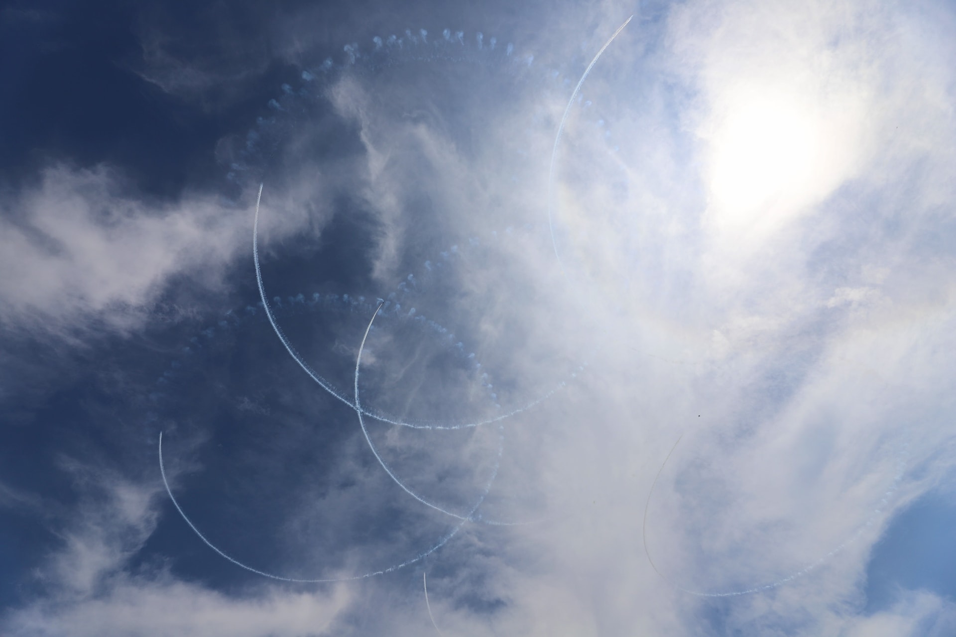 課目2「サクラ」会場に覆いかぶさるような大輪のサクラ