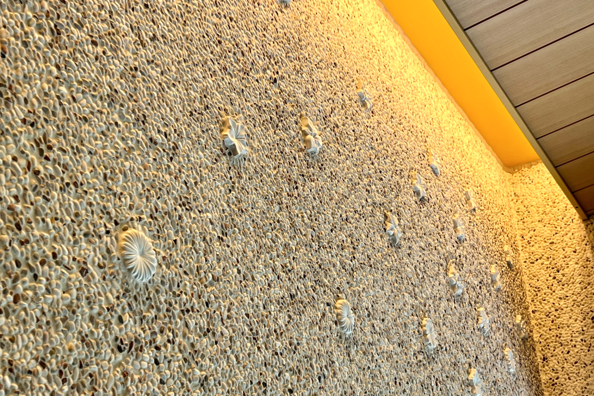 8種類の山の花々を「臼杵焼」であしらったデザイン