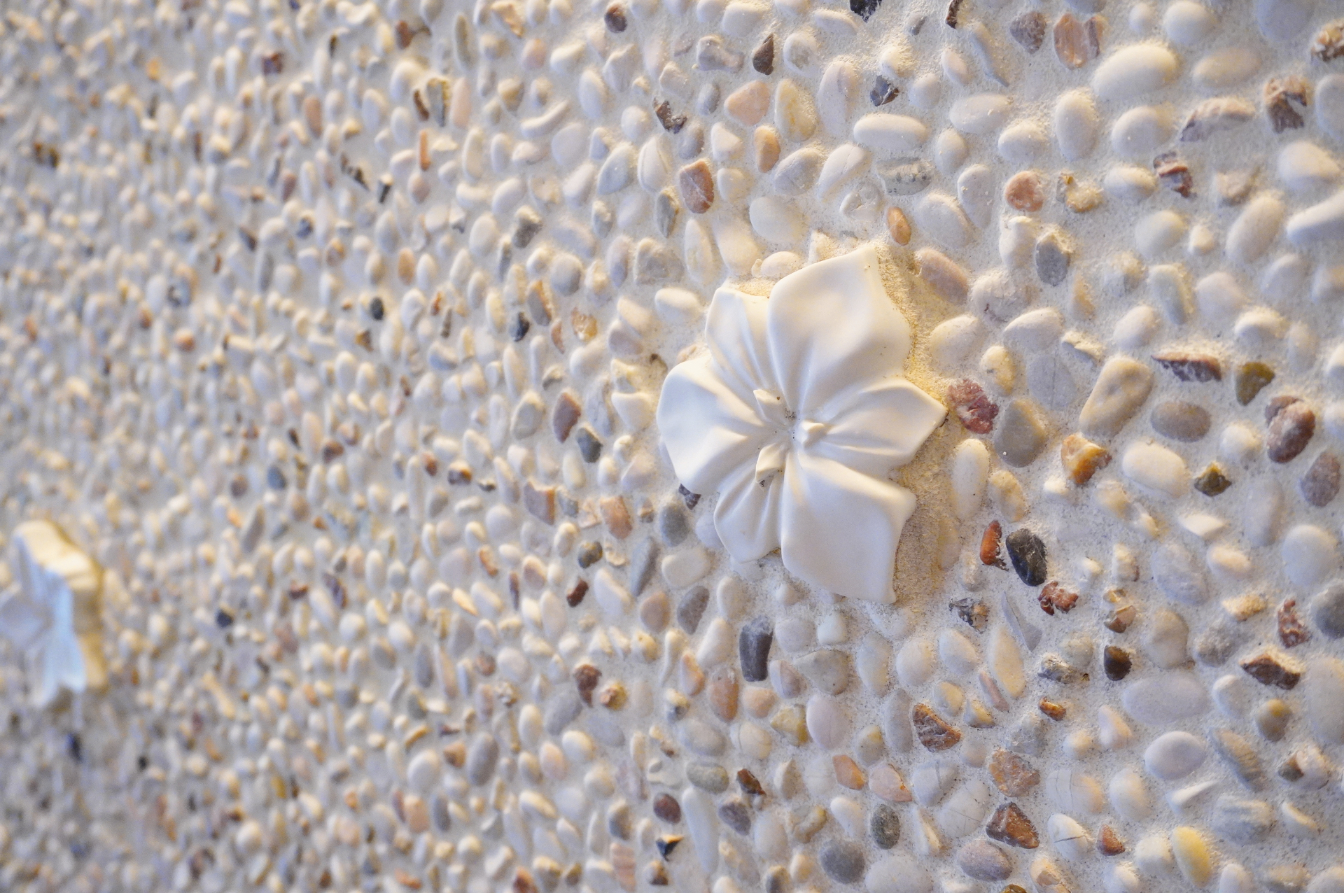 8種類の山の花々を「臼杵焼」であしらったデザイン