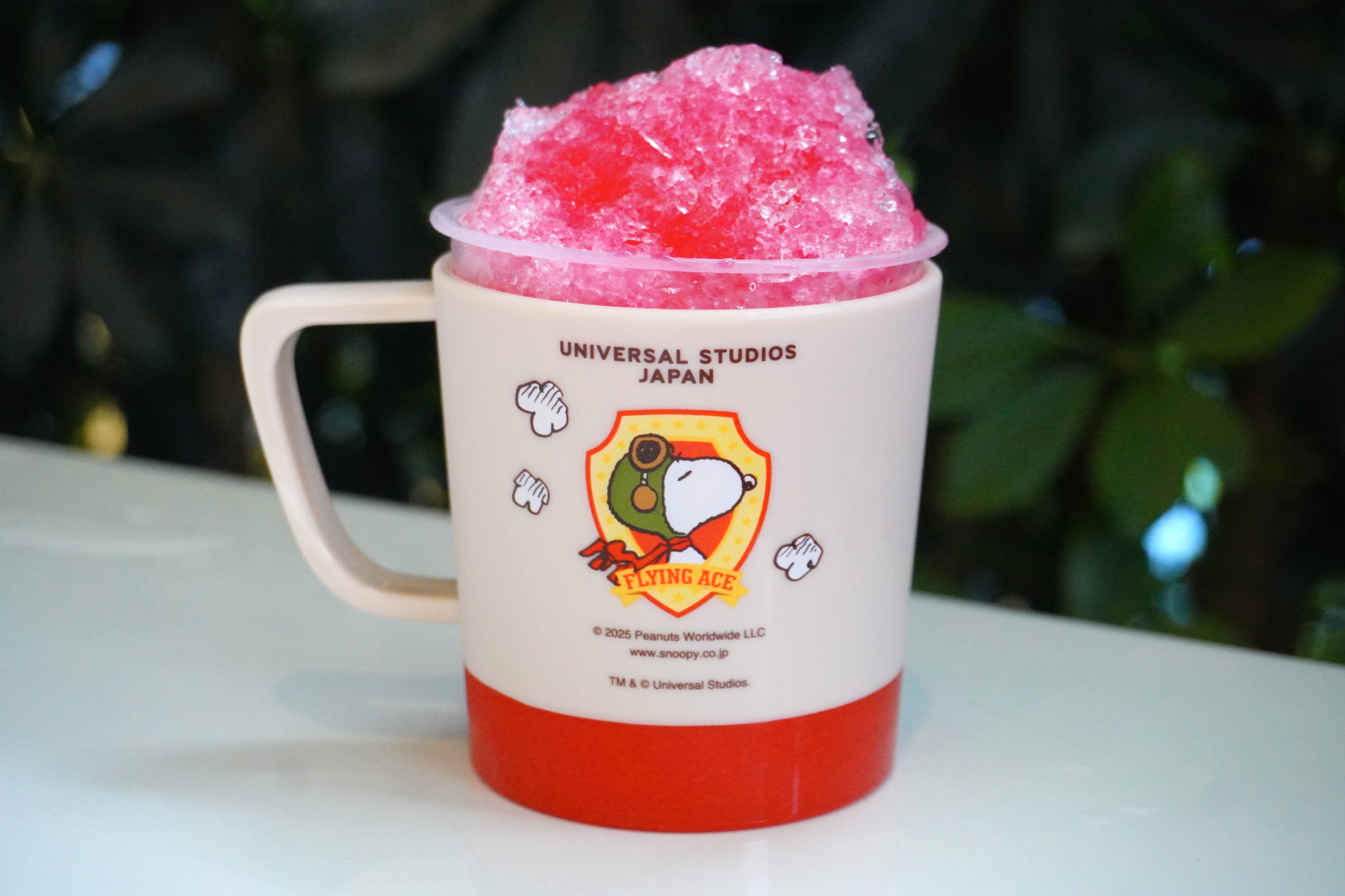 こちらは裏のデザイン。フライング・エースのエンブレムをデザインしたレトロな風合い