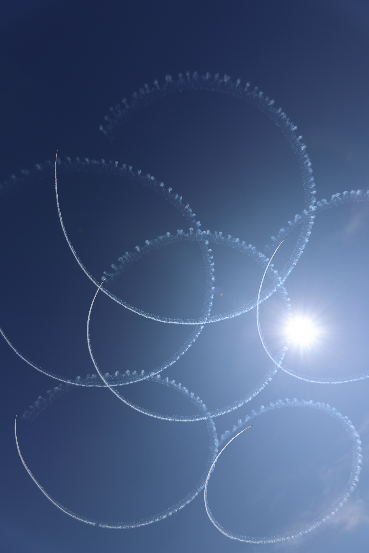 3. 「サクラ」雲一つない空に大輪が咲く。14mm超広角でも入り切らないビッグサイズだ