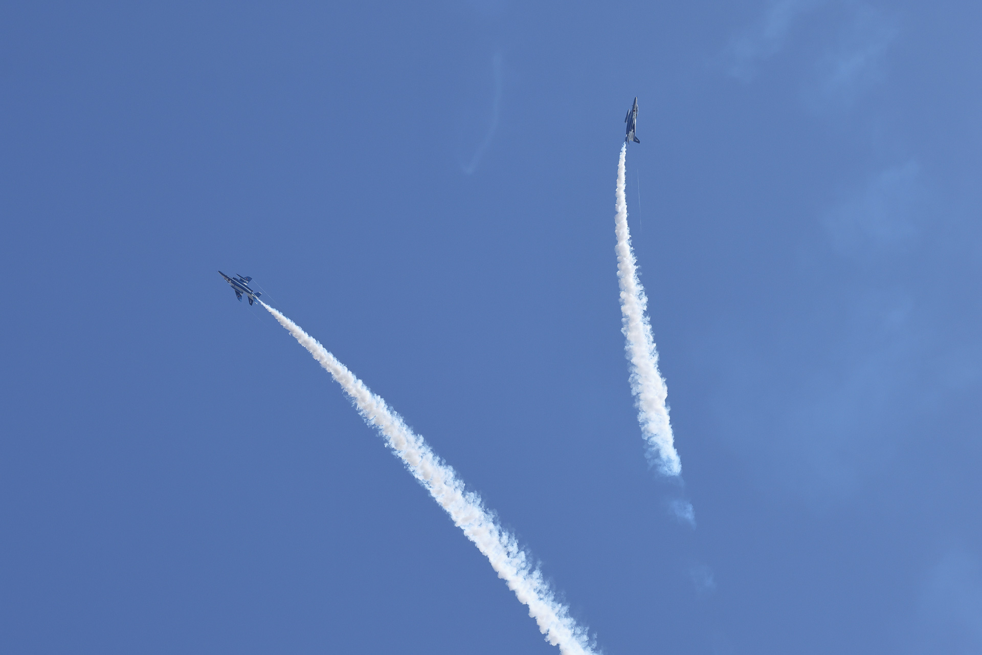 4. 「レベルキューピット」万博テーマ「いのち」にふさわしい演技。拍手が沸き起こる