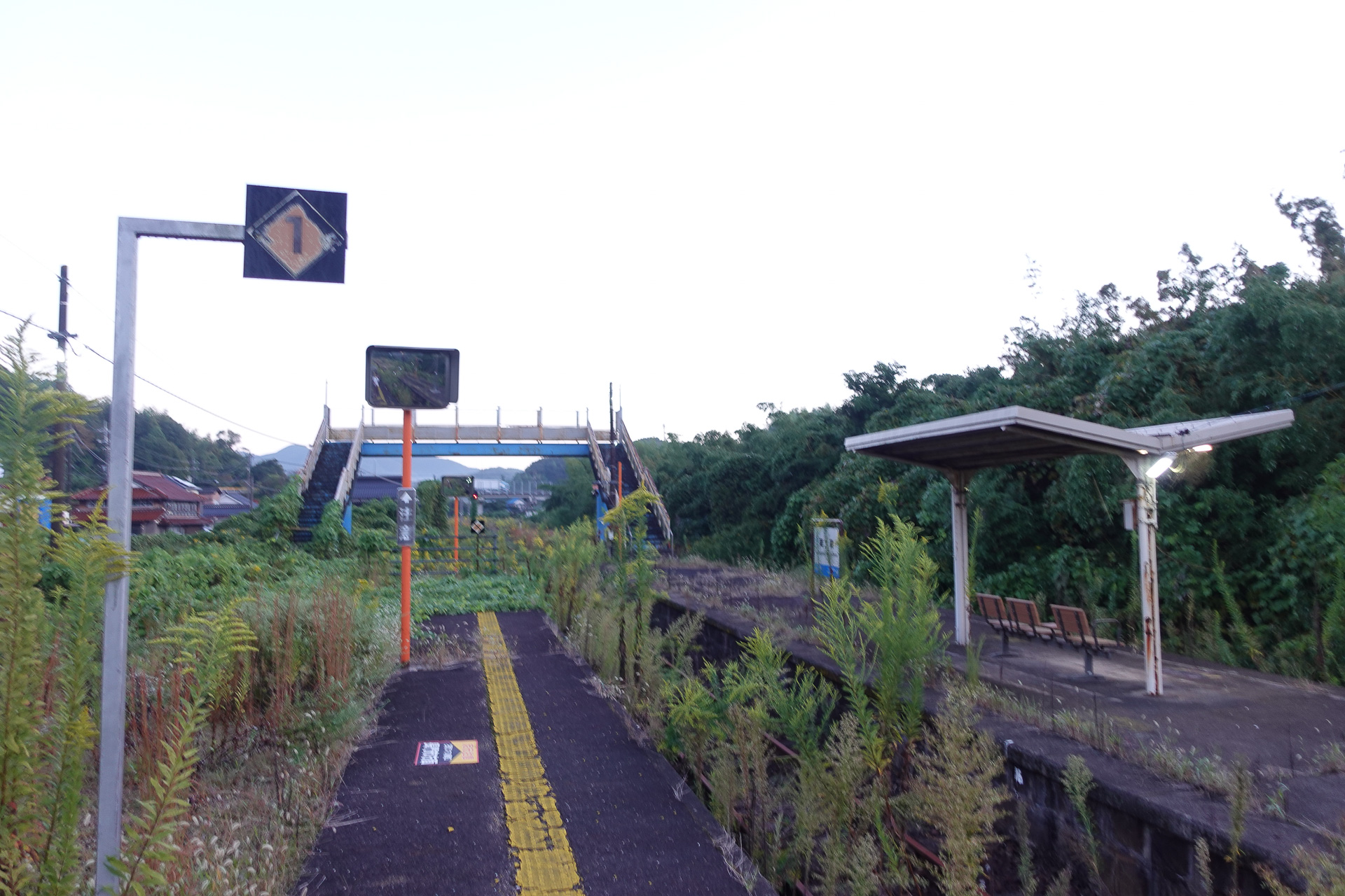 雑草が生い茂る南大嶺駅ホーム