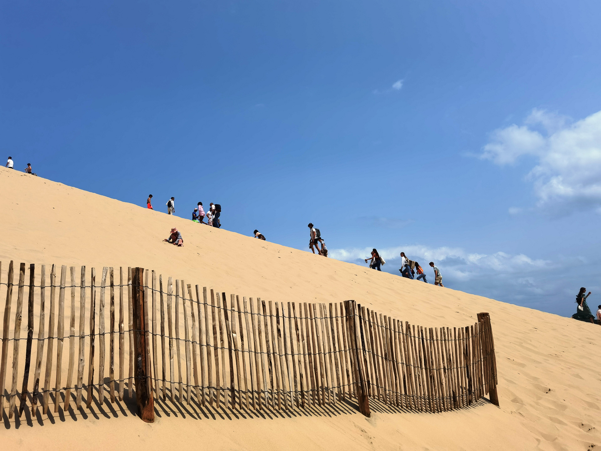 階段を使わずに上る元気な人びと