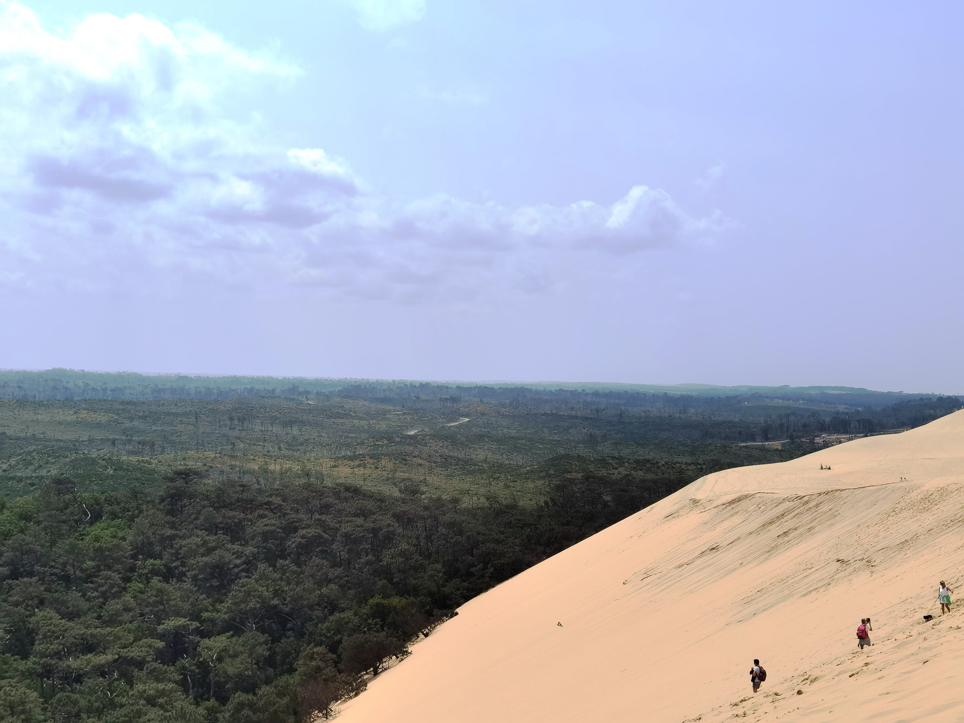 2022年夏、ピラ砂丘周辺で深刻な森林火災が発生しました。防風・防砂機能を果たしていた森林が焼けたことで、砂の移動が活発化しています