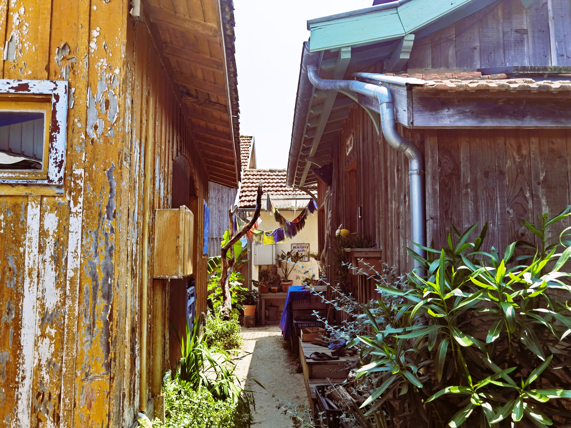 牡蠣小屋エリアの一つ