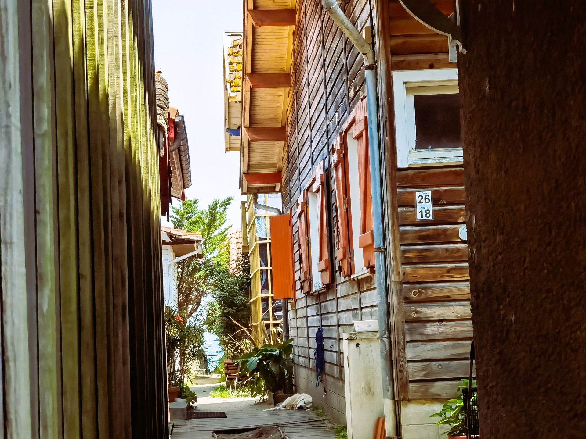 牡蠣小屋エリアの一つ