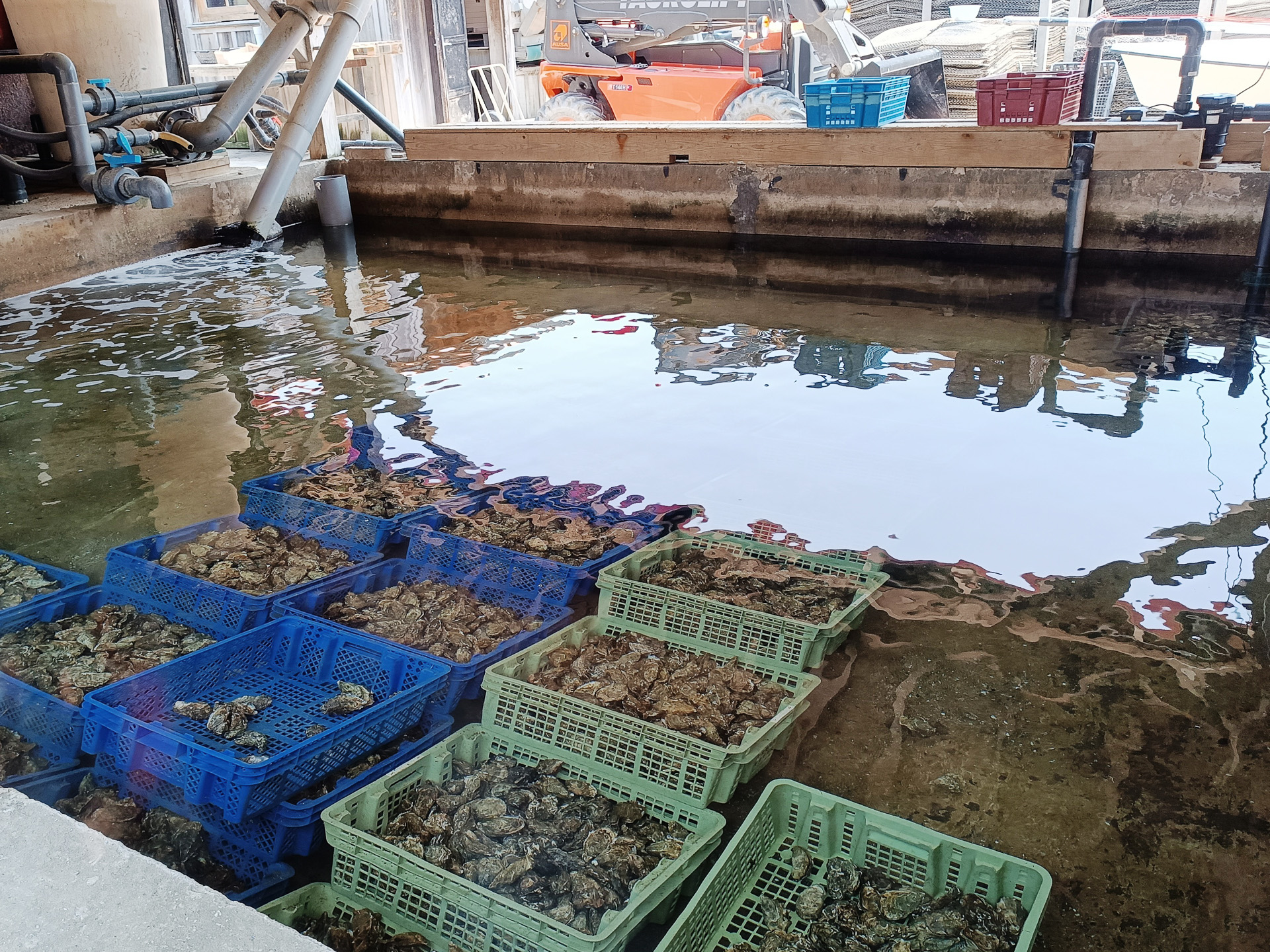 牡蠣小屋エリアの一つ