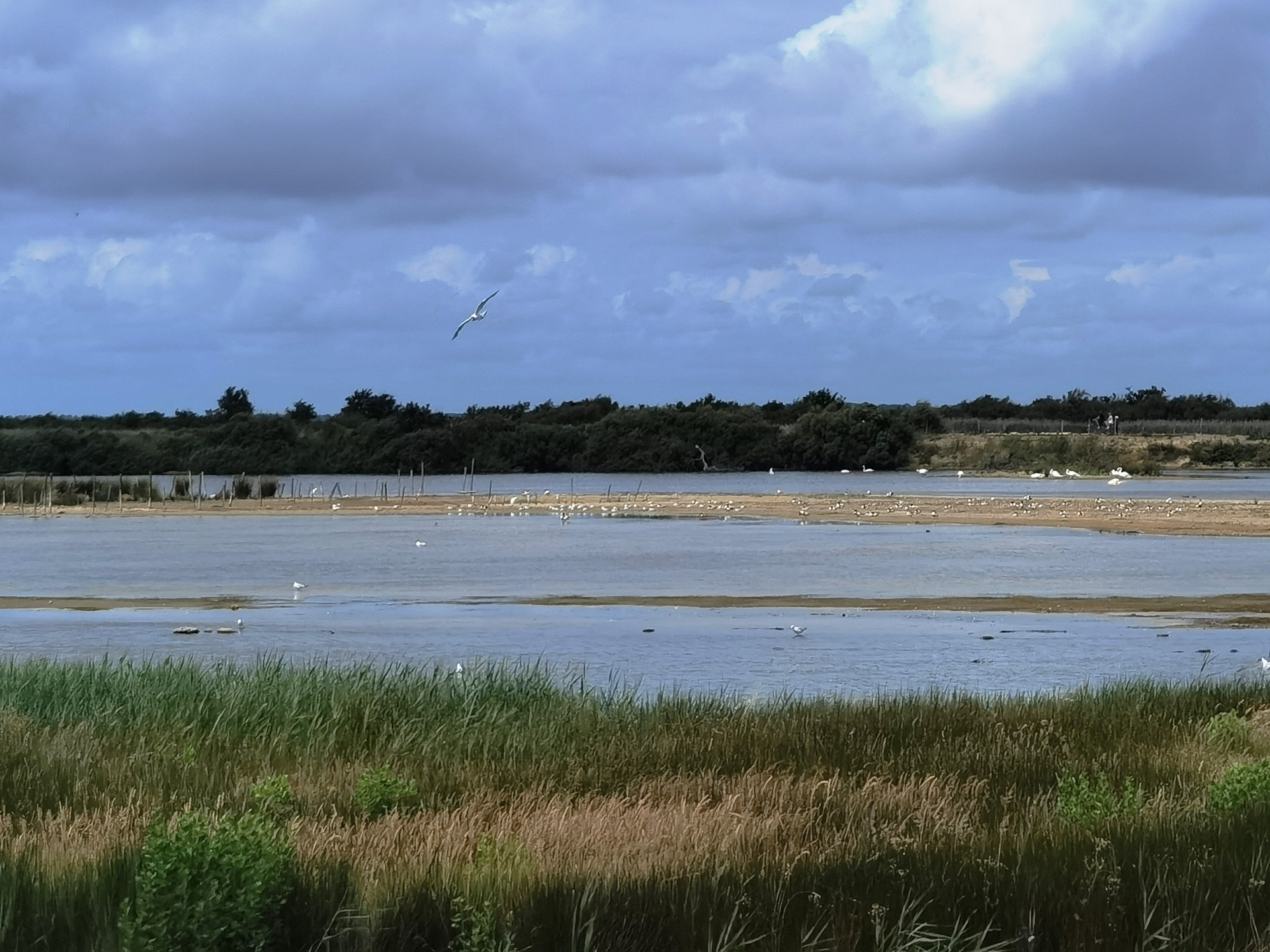 ル・テッシュ鳥類保護区