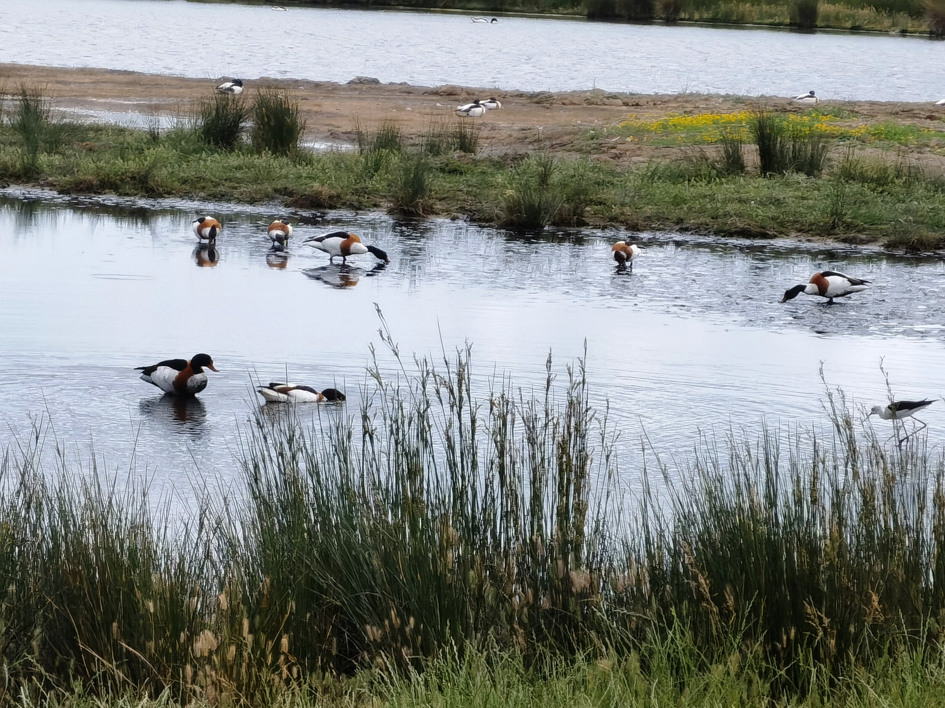 ル・テッシュ鳥類保護区